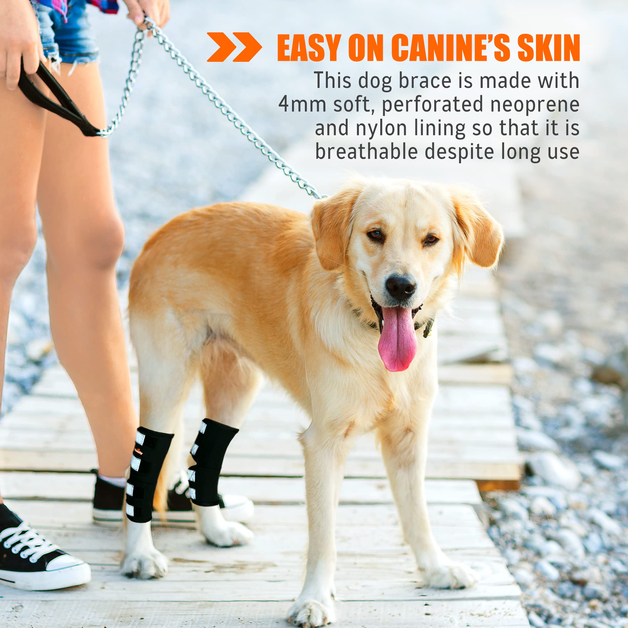 NeoAlly - Rear Leg Hock Brace, Dog Leg Brace for Rear Leg, Hock & Ankle Support for Large Dogs, Dog Brace for Torn Acl and Ccl,