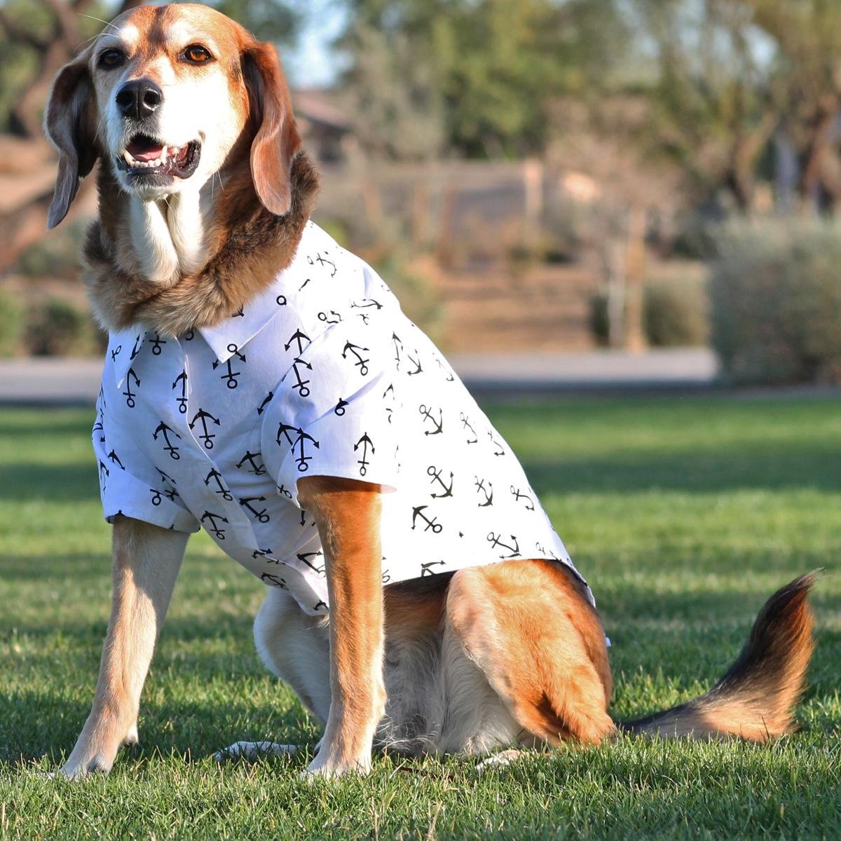 Doggie Design Brown Bone Durable Acrylic Sweater - Medium