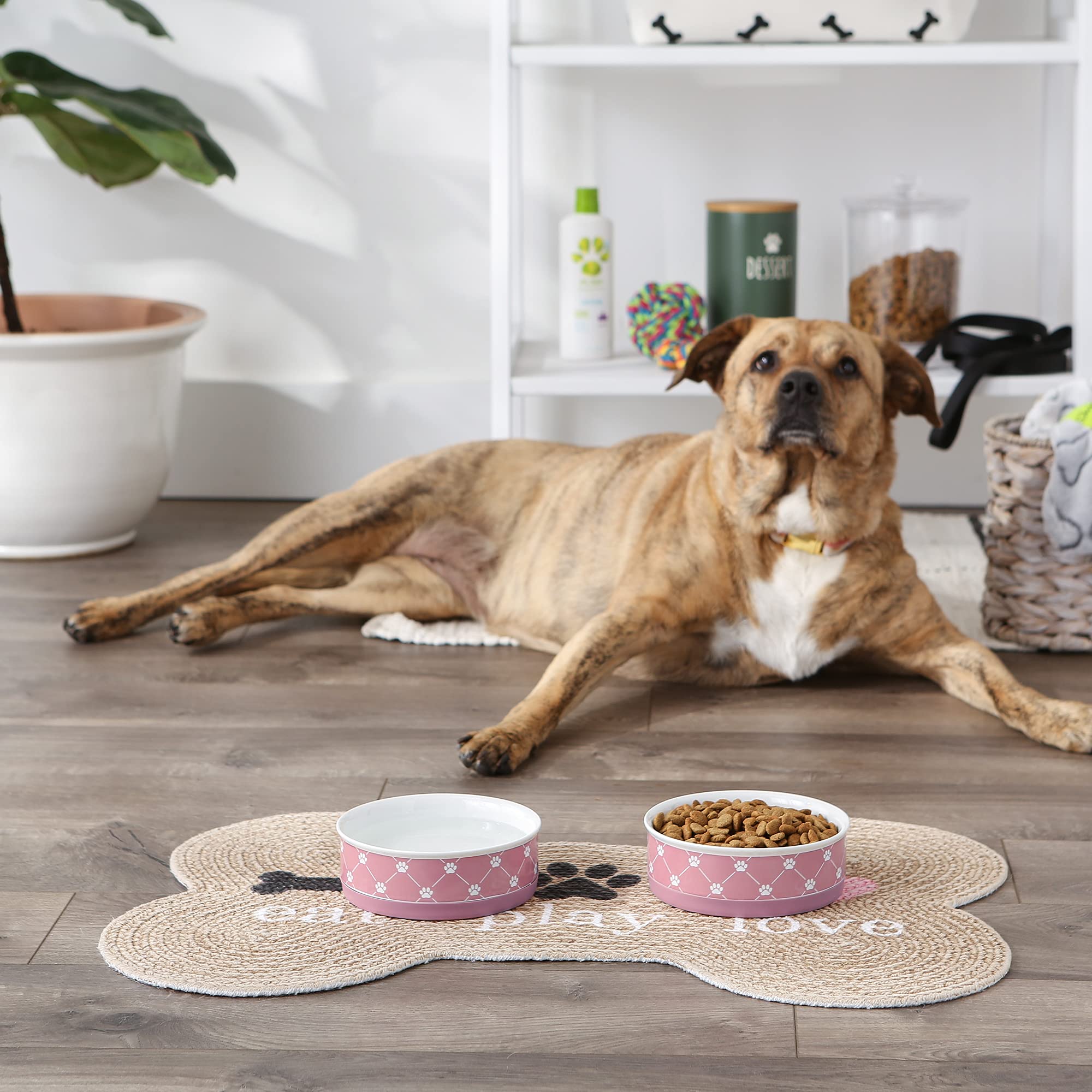 Bone Dry Trellis Paw Print Pet Bowl, Dishwasher Safe, Non-Slip, Medium 6x2, Rose, 2 Count