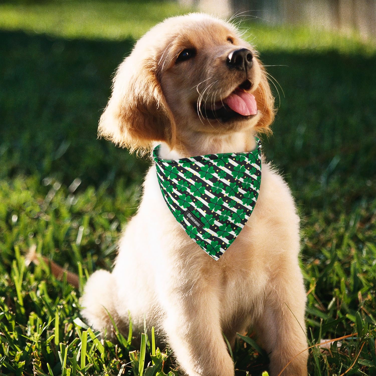 Maca Bates 2 Pack St Patricks Day Dog Irish Clover Bandana Bulk Saint Patrick'S Shamrock Spring Green Dogs Scarf Soft Puppy Band