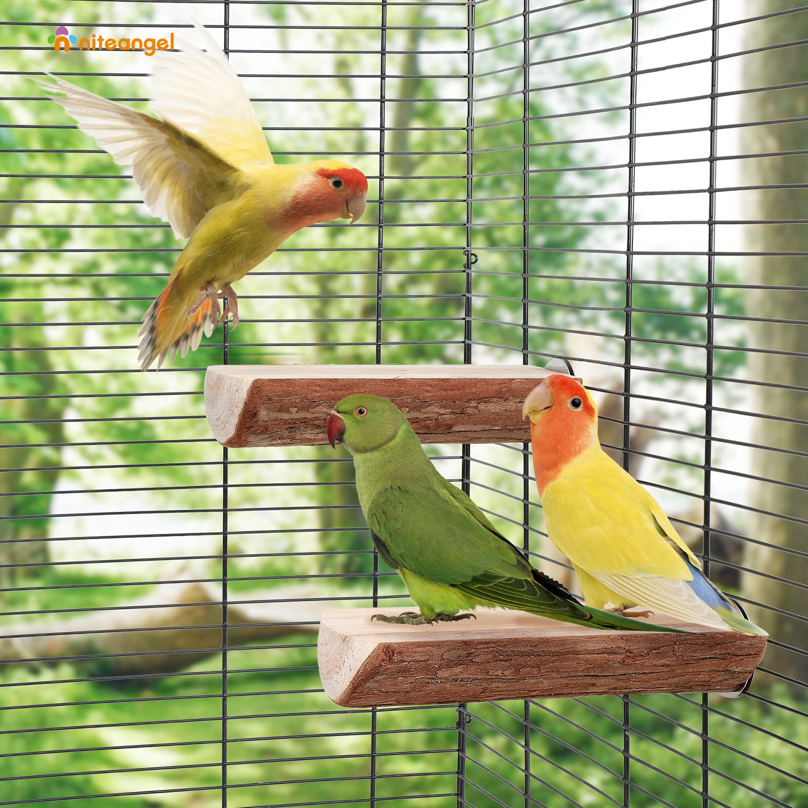 Niteangel Parrot Cage Perch, Wooden Platform For Birds (2 Packs)