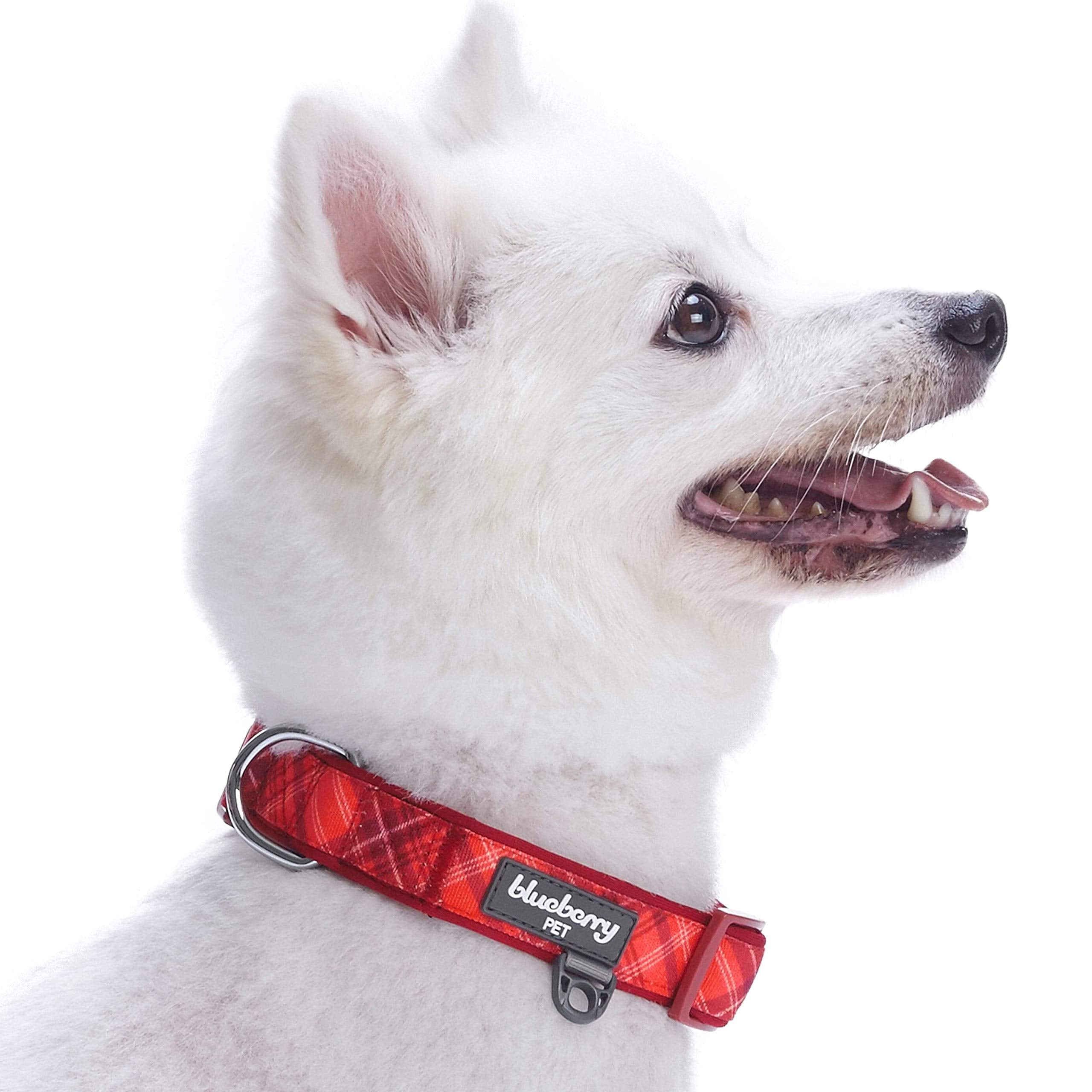 Blueberry Pet 7 Patterns Soft & Comfy Scottish Aileen Red Plaid Tartan Style Designer Padded Adjustable Dog Collar, Medium, Neck 14.5'-20'