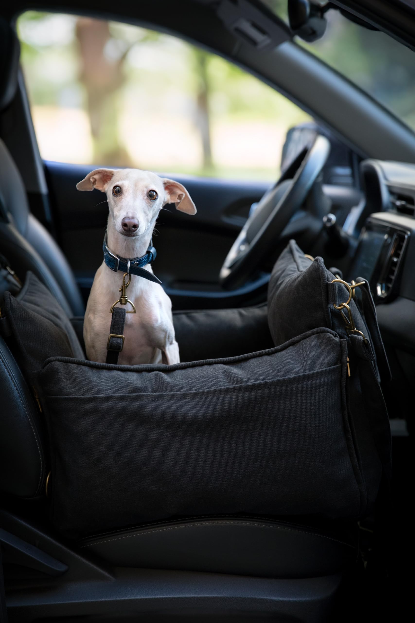 Noah & Paw Dog Car Seat Carrier, Small Dog Car Seat for Small Medium Pets with Harness Clip, 4X Safety Feature, Booster Travel B