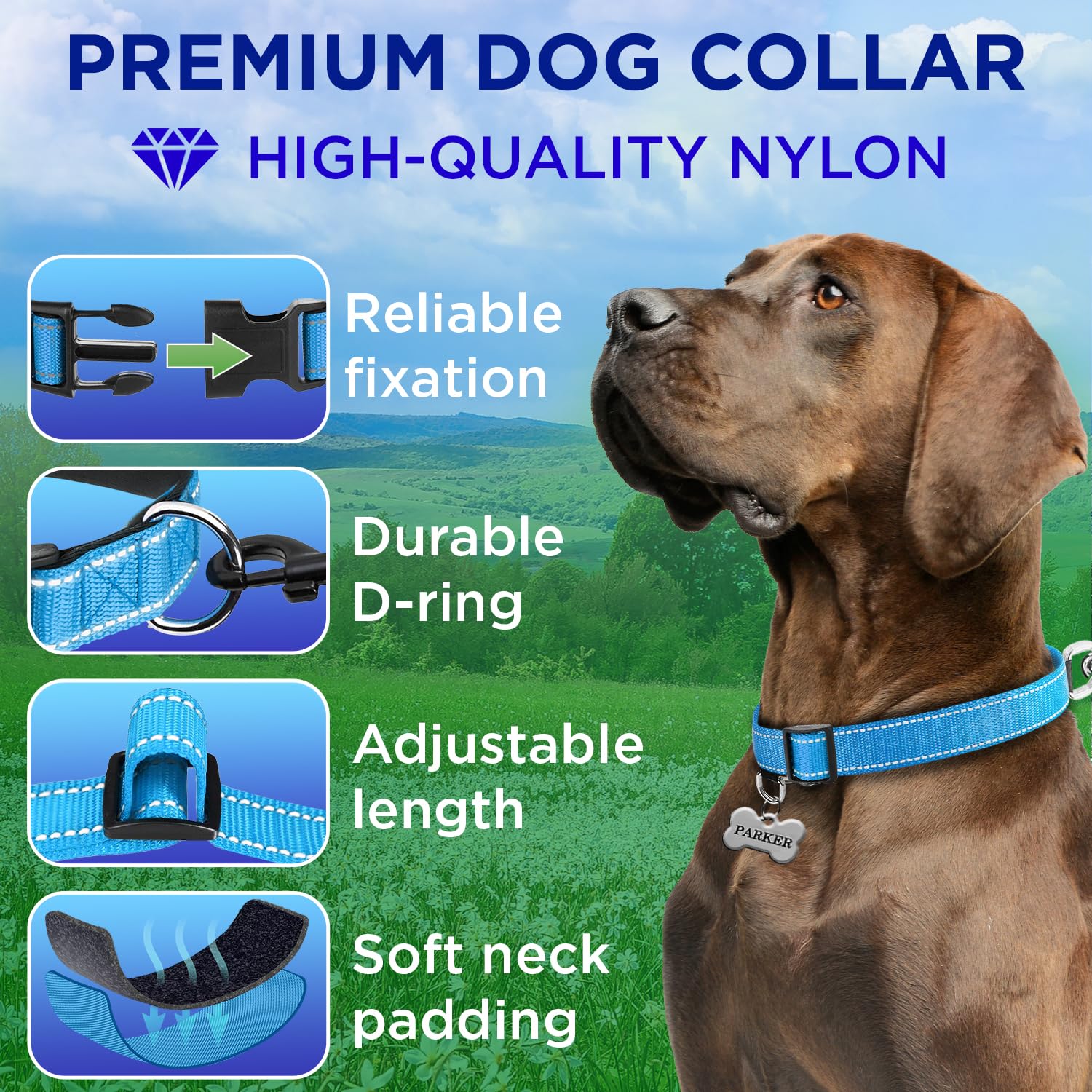 Teceum Reflective Pet Collar - Sky Blue - L - Extra Soft Padding - Basic Nylon Dog Collar - Quick Release Buckle - Fits Small, M