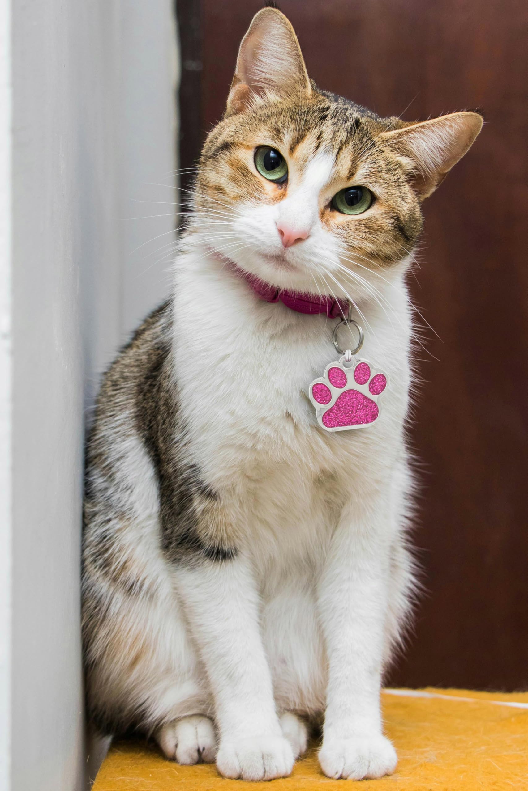 Generic io Tags Pet ID Tags, Personalized Dog Tags and Cat Tags, Custom Engraved, Easy to Read, Cute Glitter Paw Pet Tag (Pink)