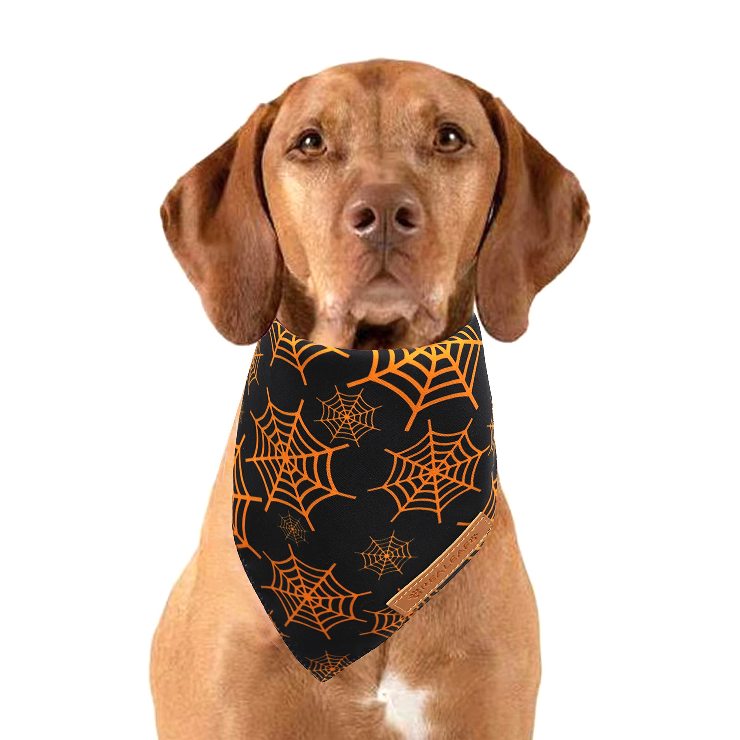Realeaf Halloween Dog Bandanas 2 Pack, Pumpkin And Spider Web Bibs, Triangle Reversible Fall Pet Scarf, Multiple Sizes Offered, Premium Durable Fabric, Adjustable Fit