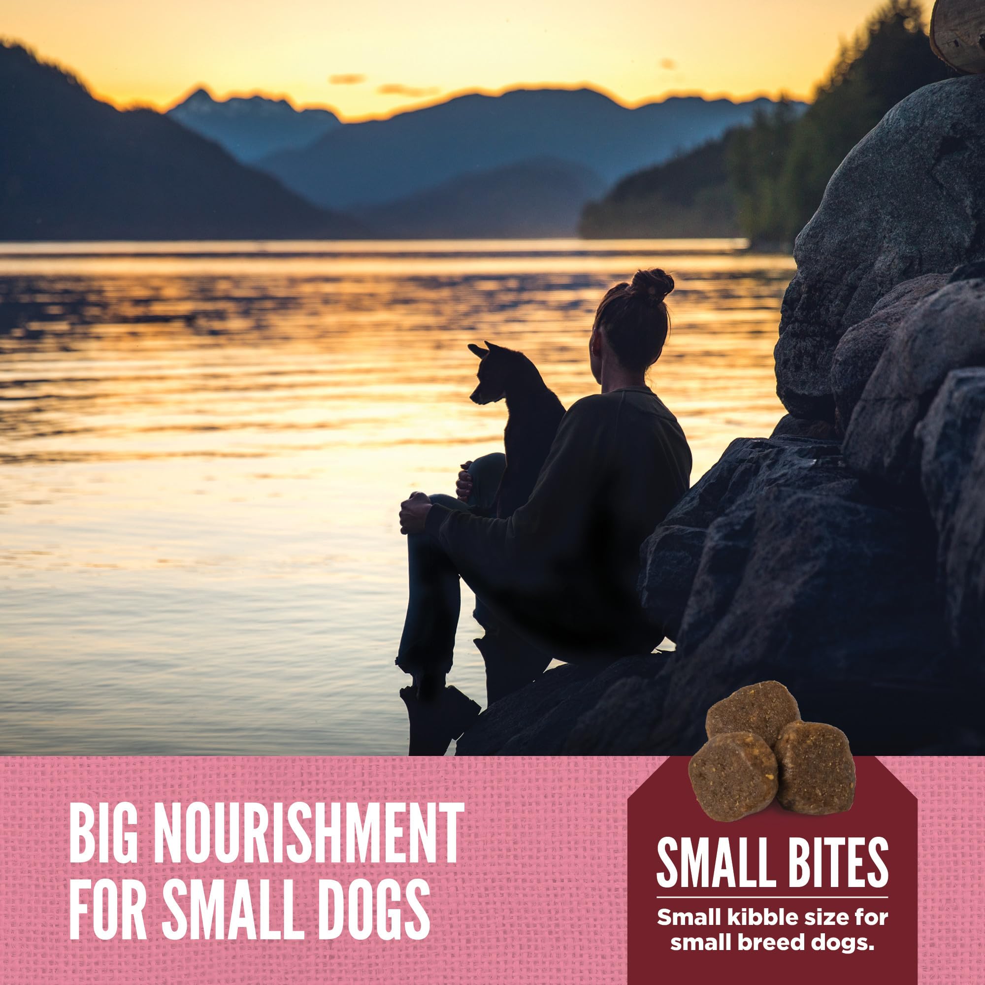 ORIJEN Amazing Grains Small Breed Dry Dog Food Recipe, 10lb