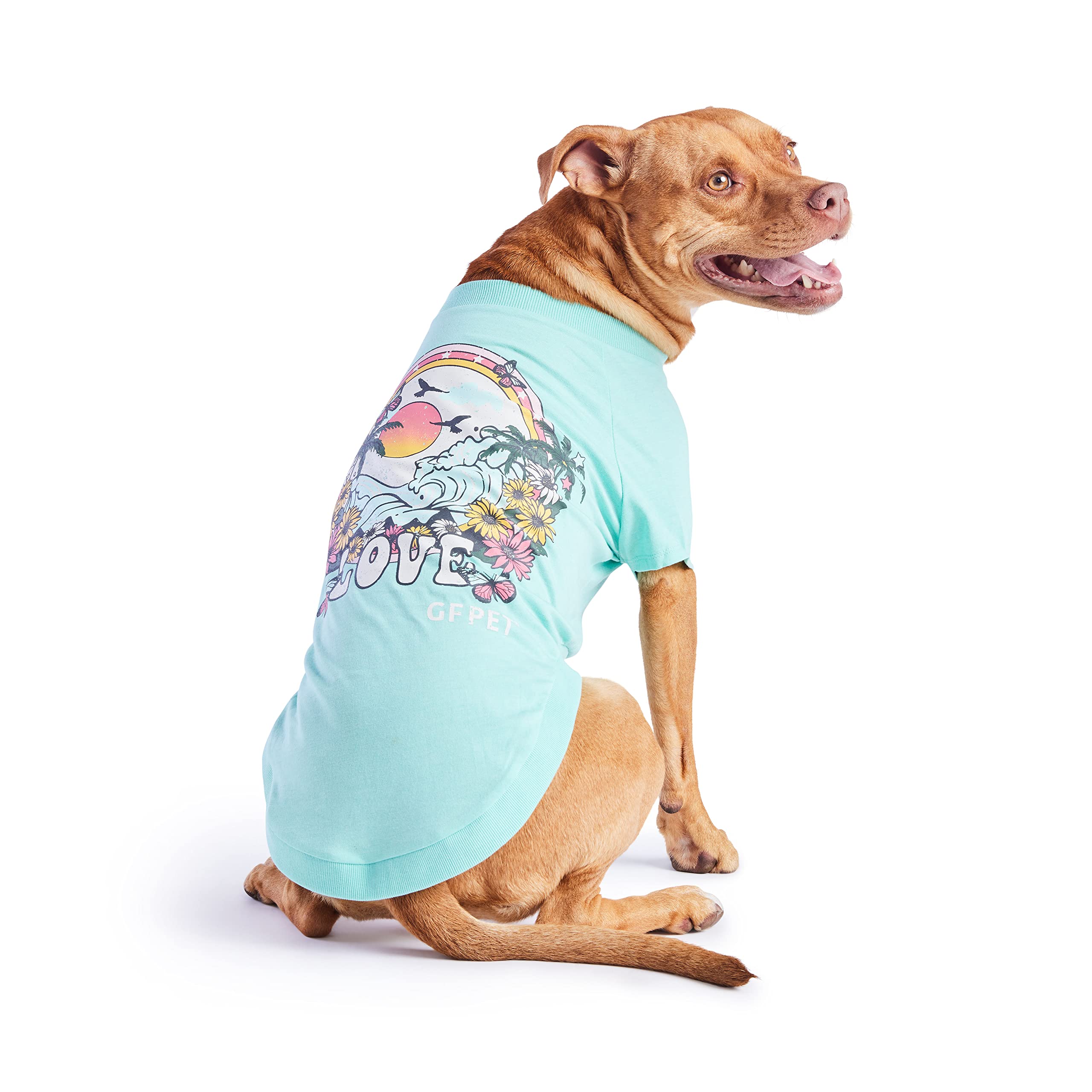 Gf Pet - Graphic Tee Dog T-Shirt (Heather Aqua, Medium)