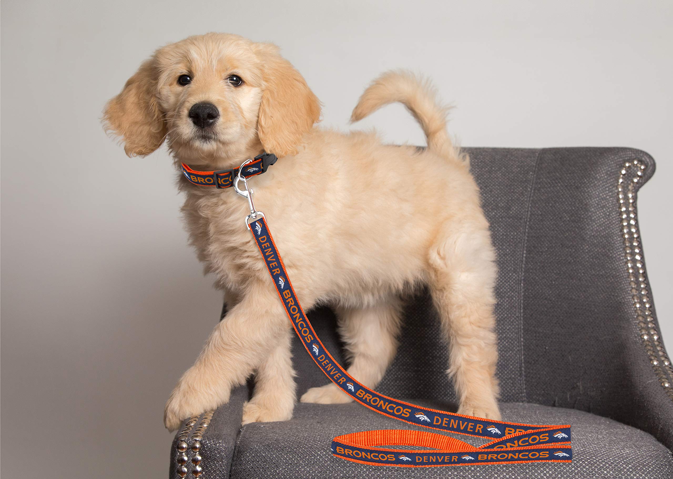 Nfl Pet Leash, Small, Denver Broncos Dog Leash, Football Team Leash For Dogs & Cats. A Shiny & Colorful Dog & Cat Leash With Emb