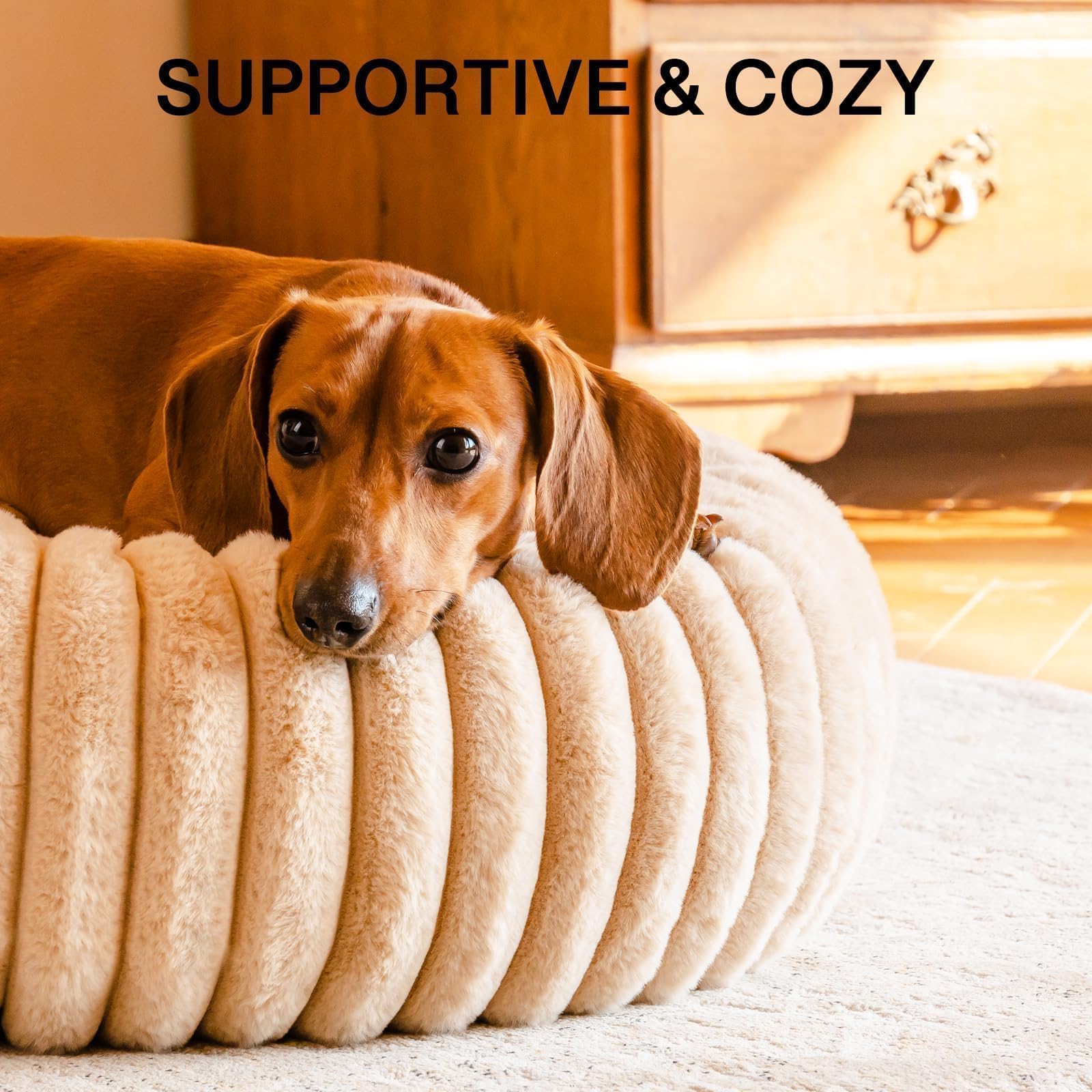 Mewoofun Donut Dog Beds For Small Dog, Calming Bed Round Cute Puppy Bed With Non-Slip Bottom, Fluffy Washable Pet Bed For Puppy