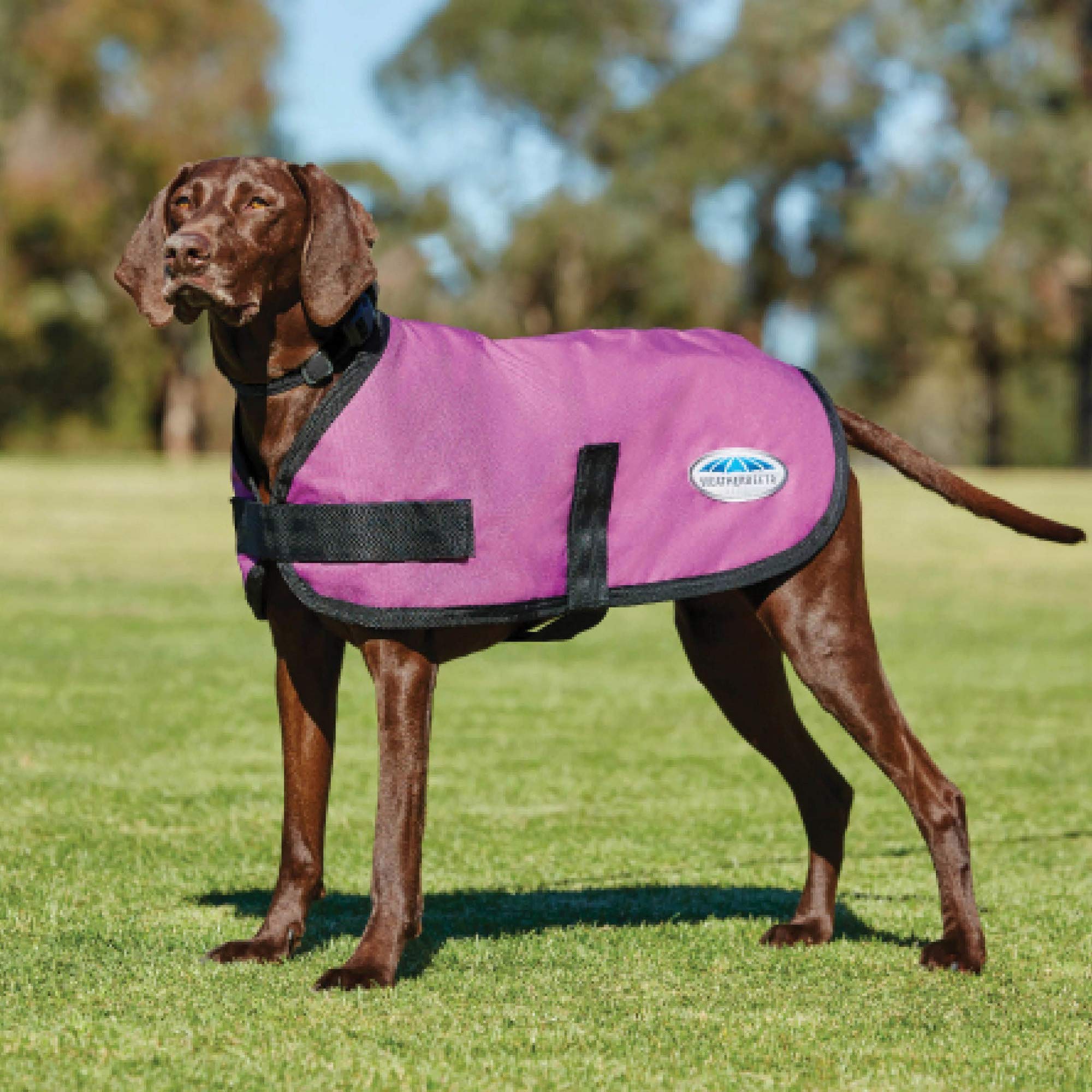 Weatherbeeta Comfitec Classic Dog Coat, Dark Blue, 10'