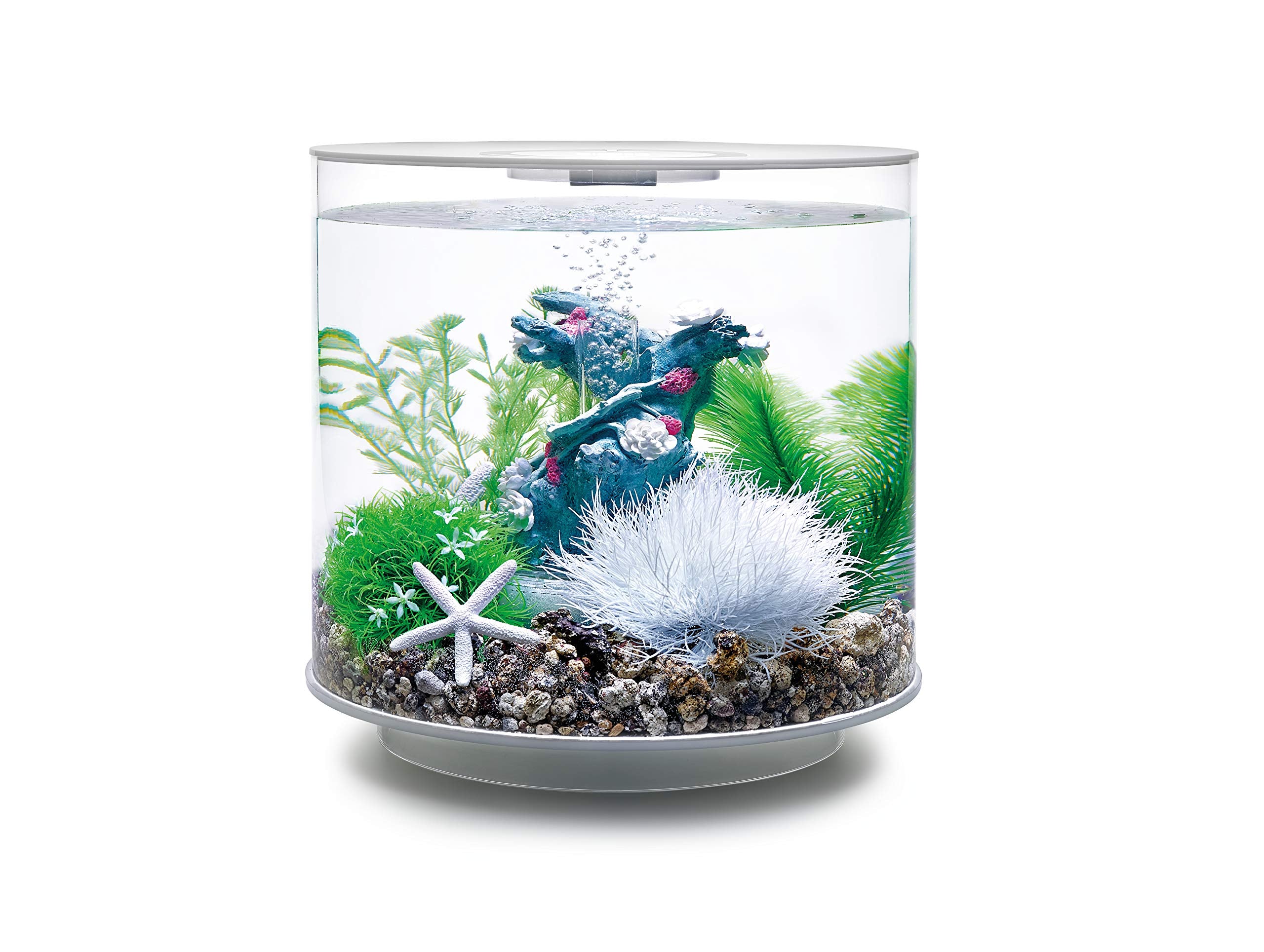 Biorb Decor Set – 15L Flower Garden