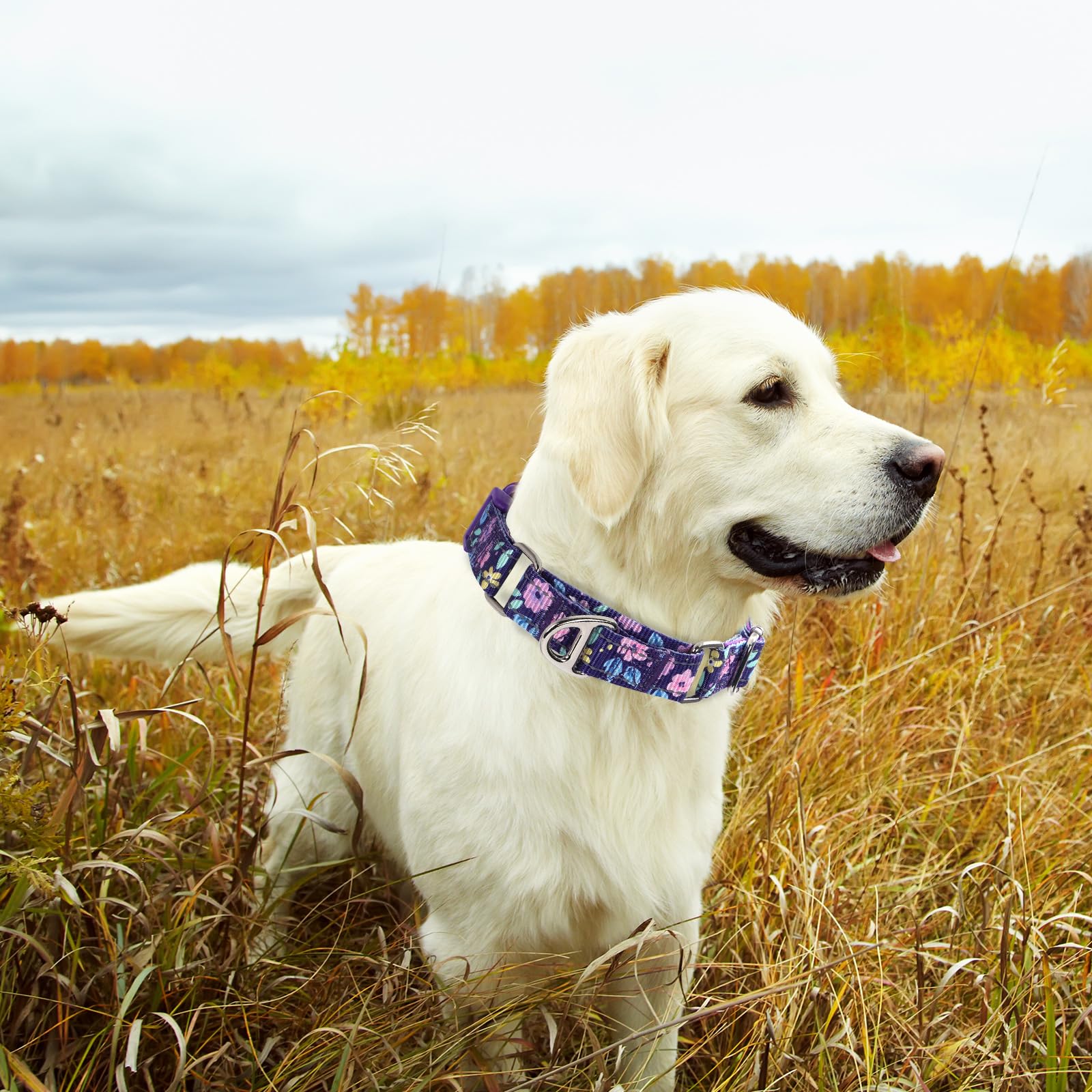 Onefojojo Martingale Collar For Female Dogs, Reflective Adjustable Soft Nylon Dog Collars With Cute Floral Patterns For Small Me