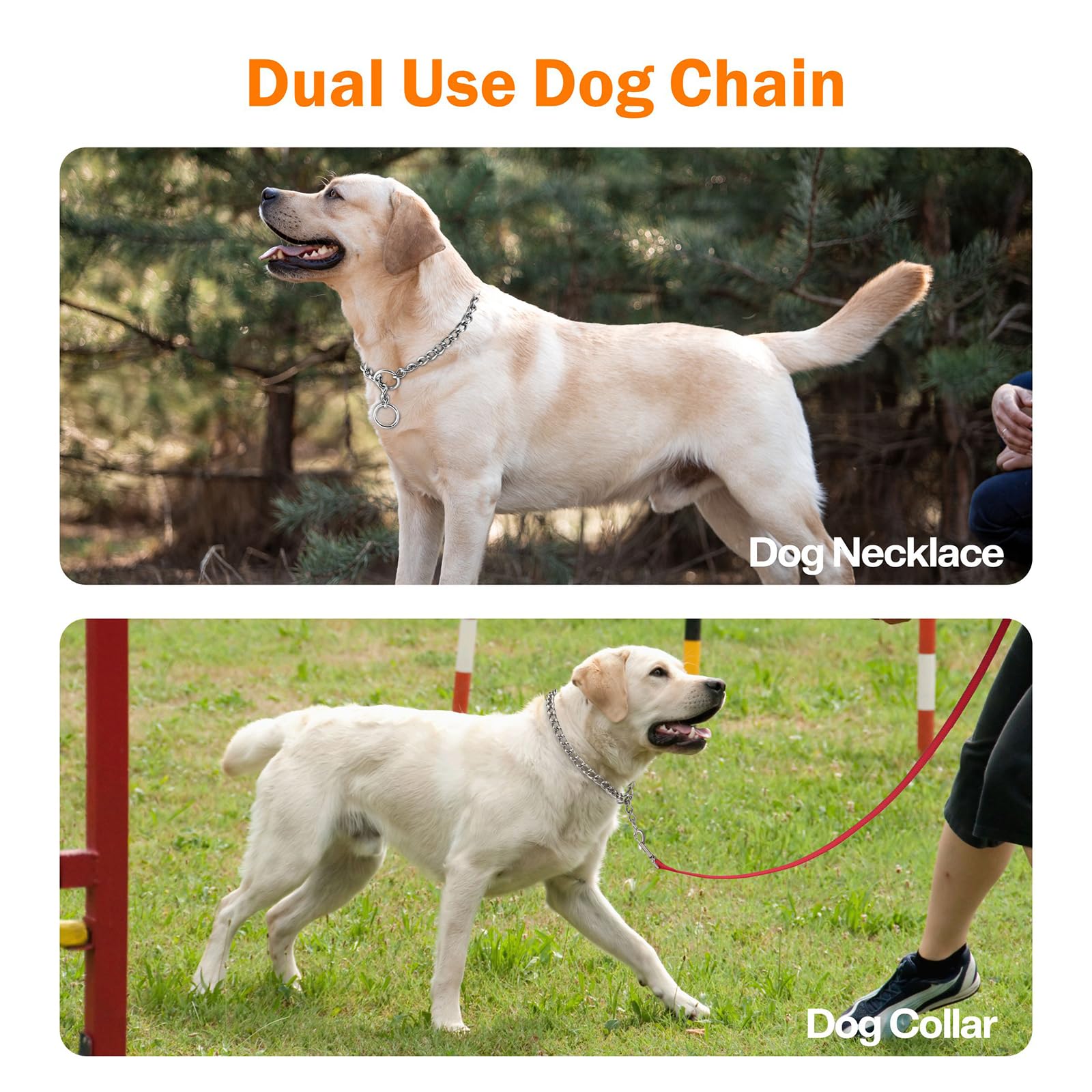 TagME Chain Choke Collar for Dogs, Adjustable Weather Proof Necklace for Medium Large Dogs, Alloy Steel Pet Training Collar