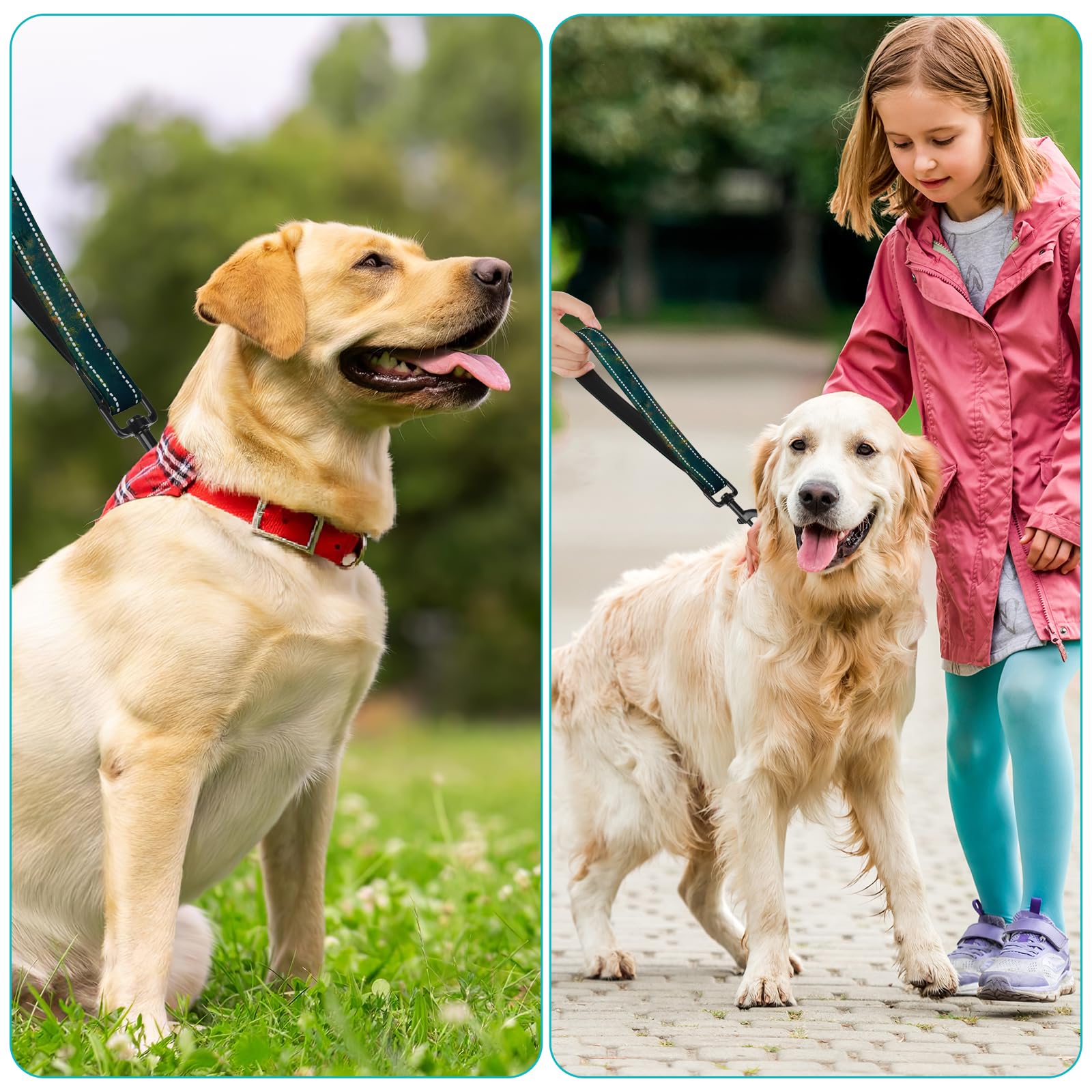 Woodland Nylon Short Dog Leash For Training Control - Reflective, Padded Handle For Large And Medium Dogs