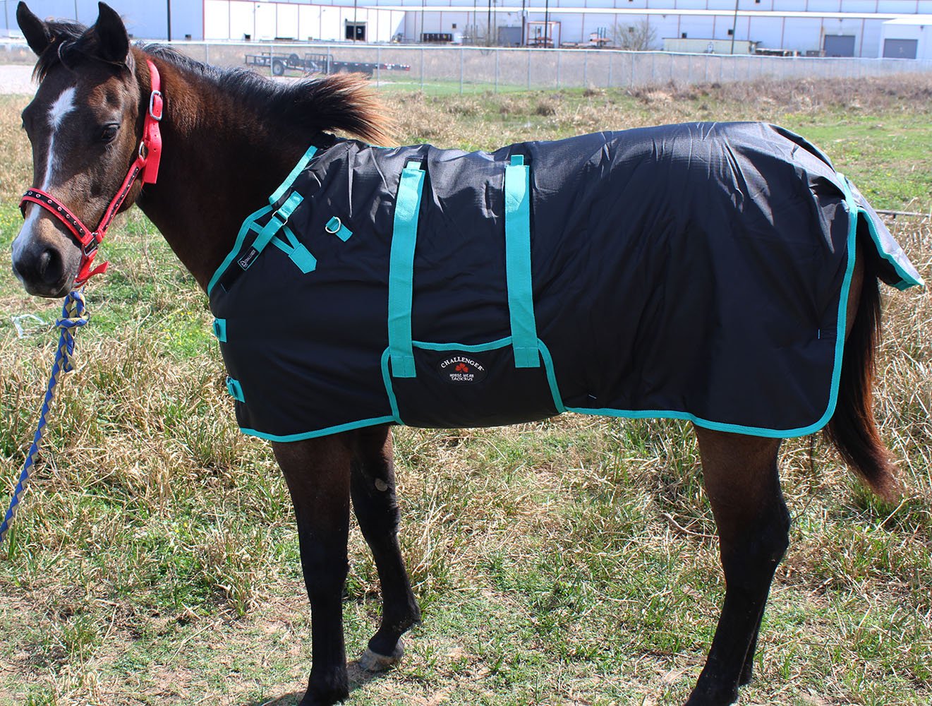 Challenger 56' 1200D Miniature Weanling Donkey Pony Horse Foal Winter Blanket Teal 51945