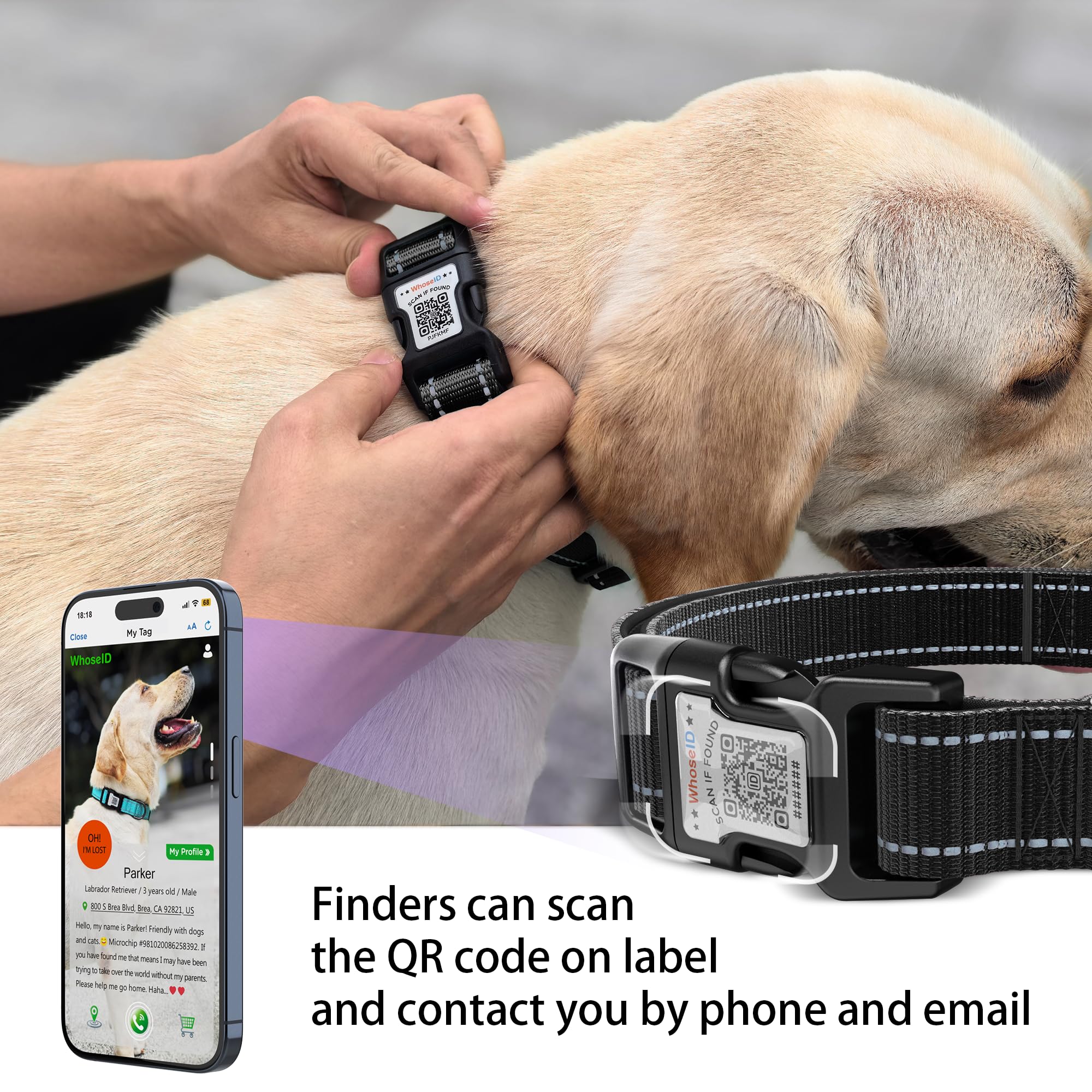 Dog Collar With Qr Code, Reflective Pet Collar, Soft Neoprene Padded & Safety Locking Buckle Adjustable Puppy Collar (Xs,Black)