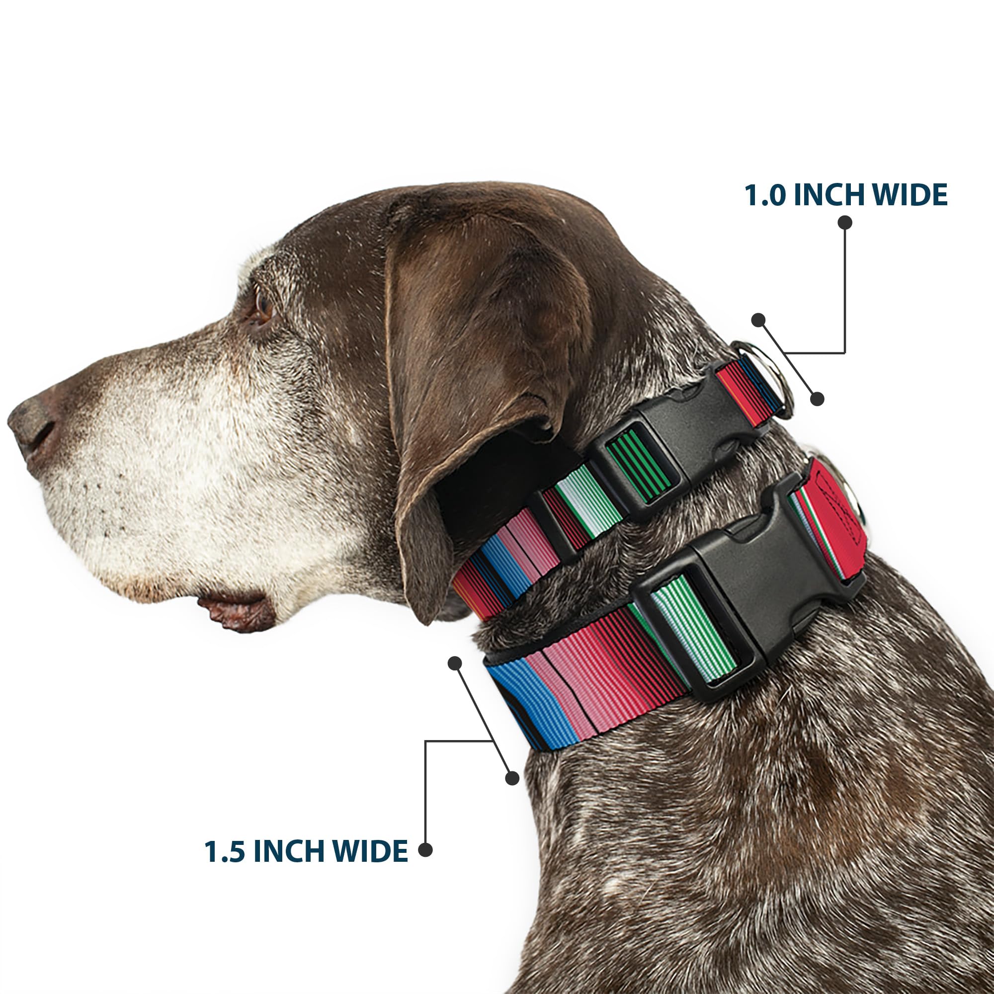 Buckle-Down Plastic Clip Collar - Zarape5 Vertical Multi Color Stripe - 1/2' Wide - Fits 6-9' Neck - Small