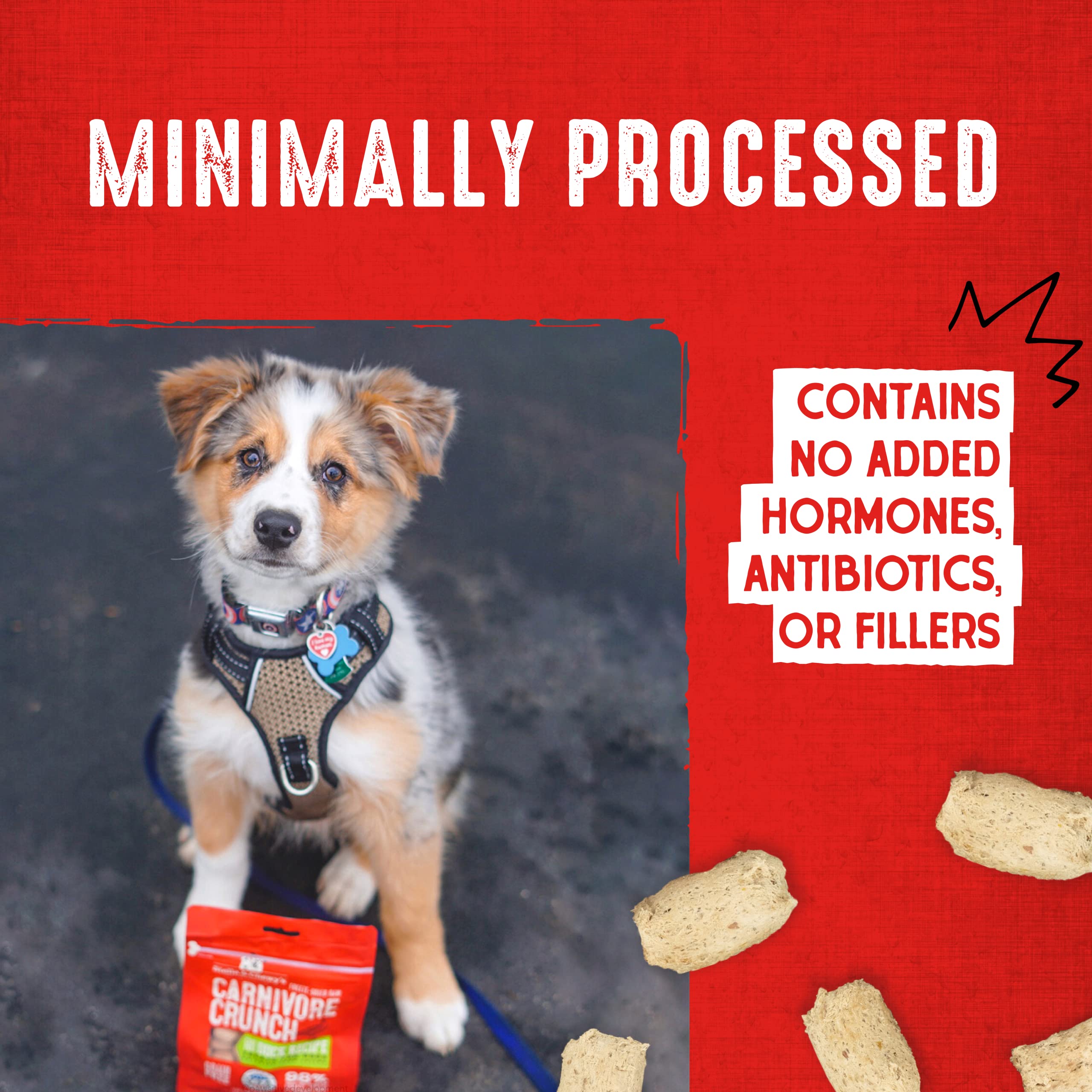 Stella & Chewys Freeze-Dried Raw Carnivore Crunch Cage-Free Turkey Recipe Dog Treats - 3.25 oz. Bag