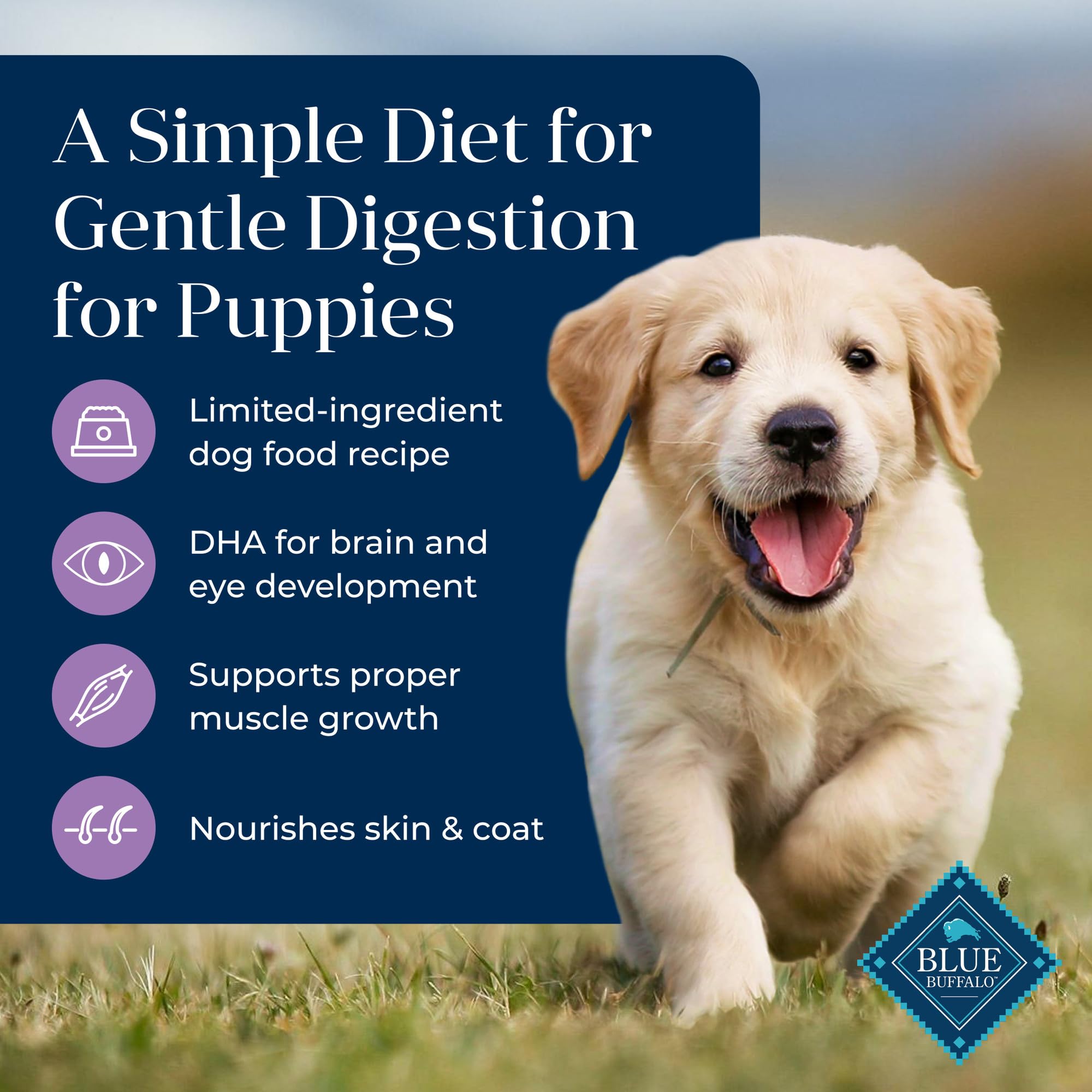 Blue Buffalo Basics Puppy Dry Dog Food for Skin & Stomach Care, Limited Ingredient Diet, Made in the USA with Natural Ingredient