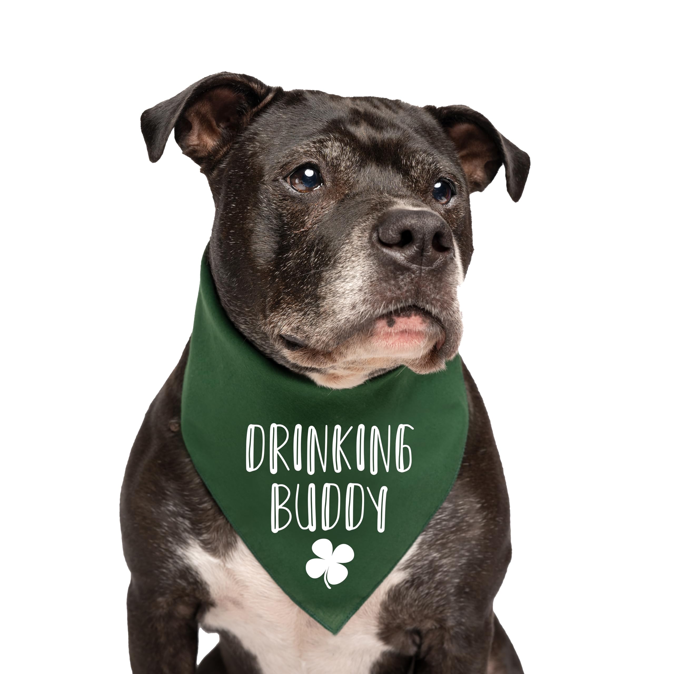 Drinking Buddy Dog Bandana | 100% Cotton Triangle | Made In Usa | Funny St. Patrick'S Day Photoshoot Prop | Shamrock | Drinking