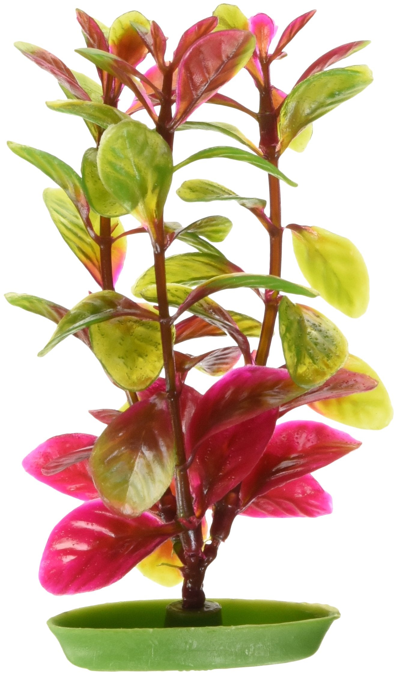 Marina Aquascaper Red Ludwigia Plant, 5-Inch