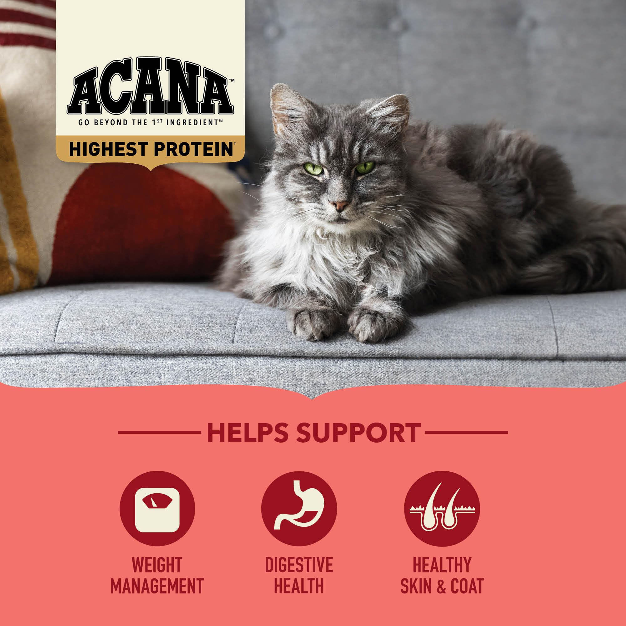 ACANA Indoor Cat 4LB