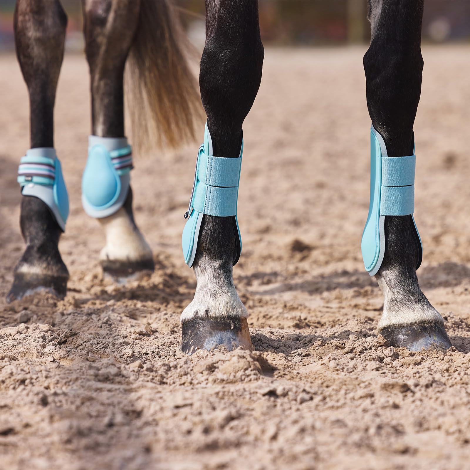 HORZE Adepto Fetlock Boots - Canal Blue - Horse