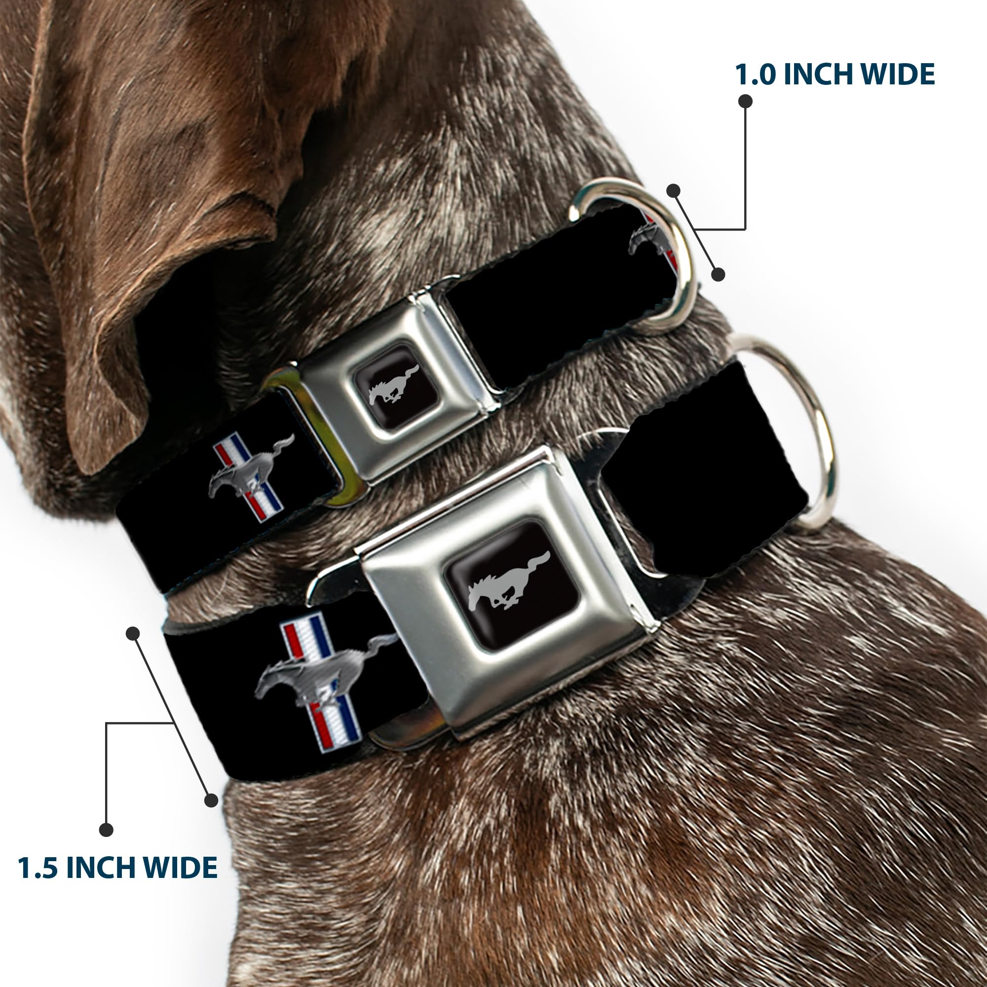Buckle-Down Seatbelt Buckle Dog Collar - Ford Mustang W/Bars Logo Repeat - 1.5' Wide - Fits 16-23' Neck - Medium