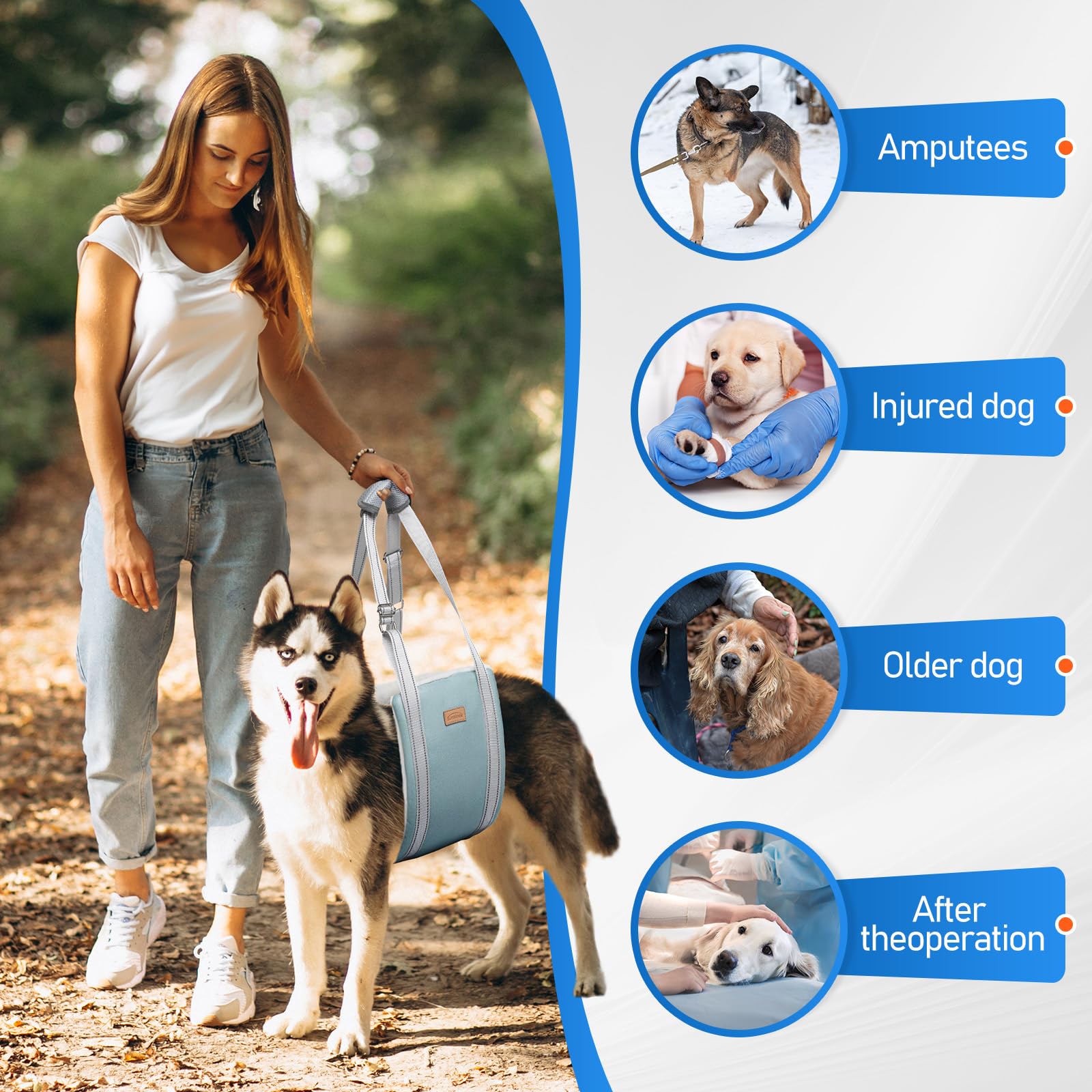 Dog Lift Harness For Large Dogs, Adjustable Dog Sling For Back Legs, Hip Support Harness To Help Lift Dogs Rear For Canine Aid A