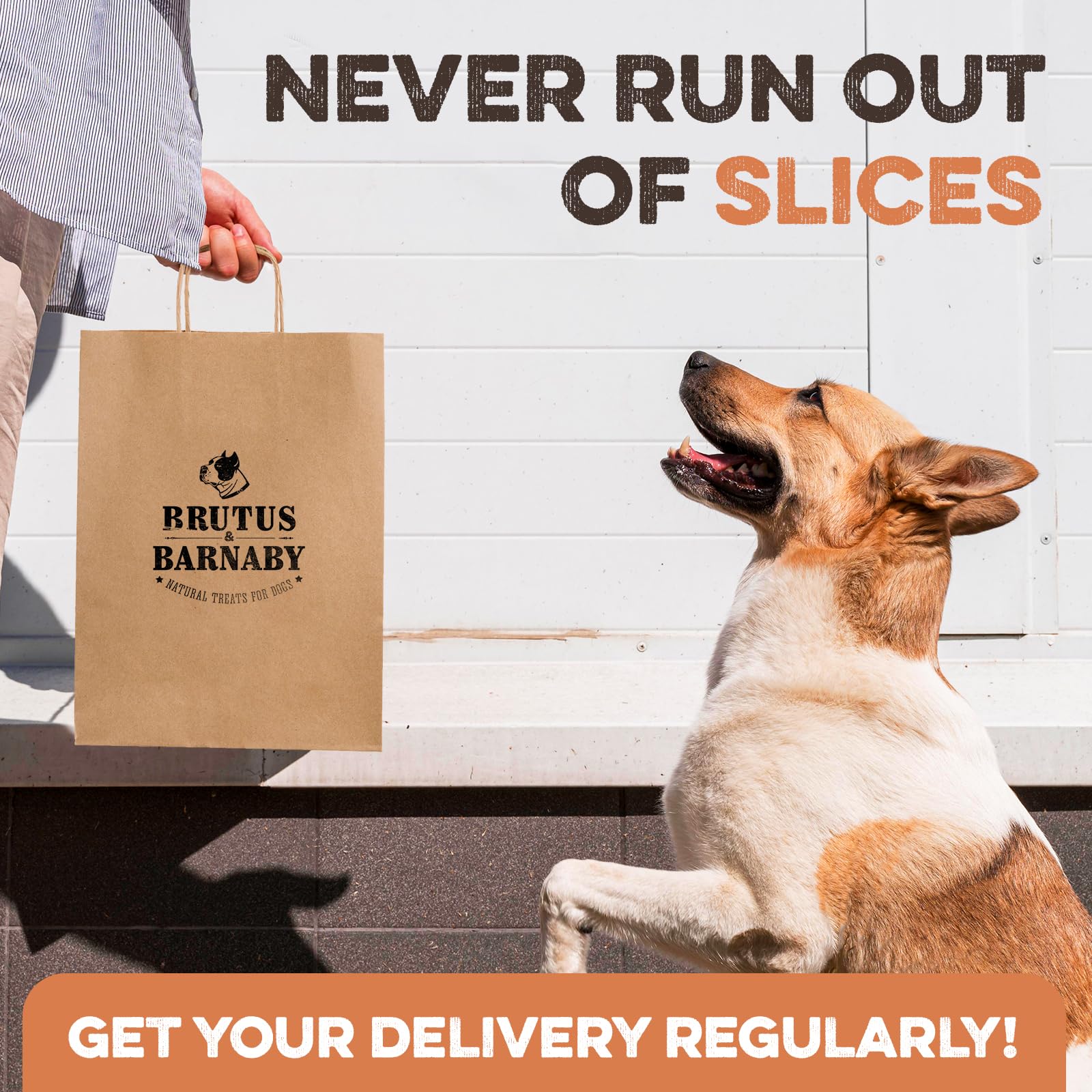 Sweet Potato Slices For Dogs - Single Ingredient Grain Free Dog Treats, Best High Anti-Oxidant Healthy 100% Natural Thick Cut Dr