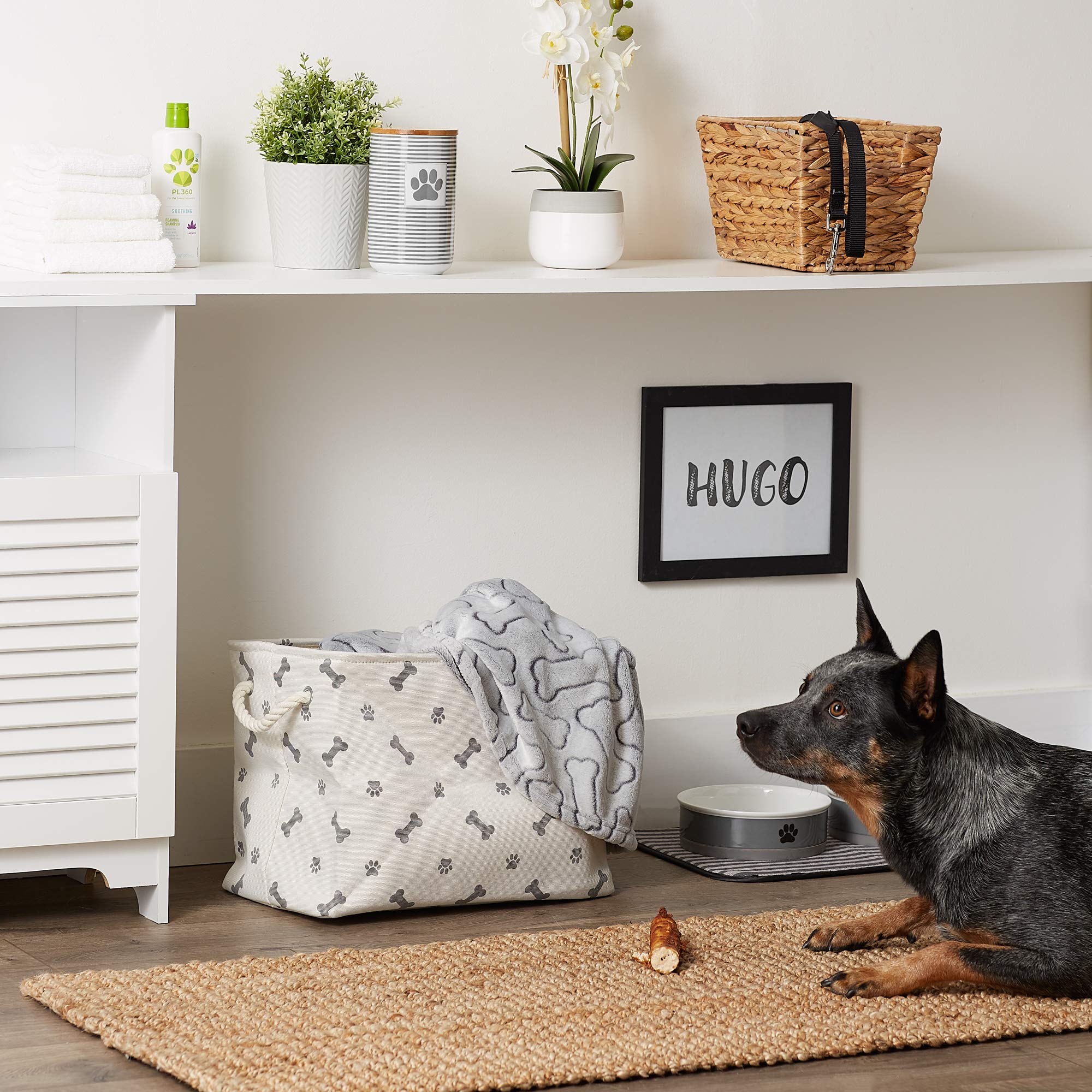 Bone Dry Pet Storage Collection Paw and Bone Print, Medium Rectangle, 16x10x12, Gray