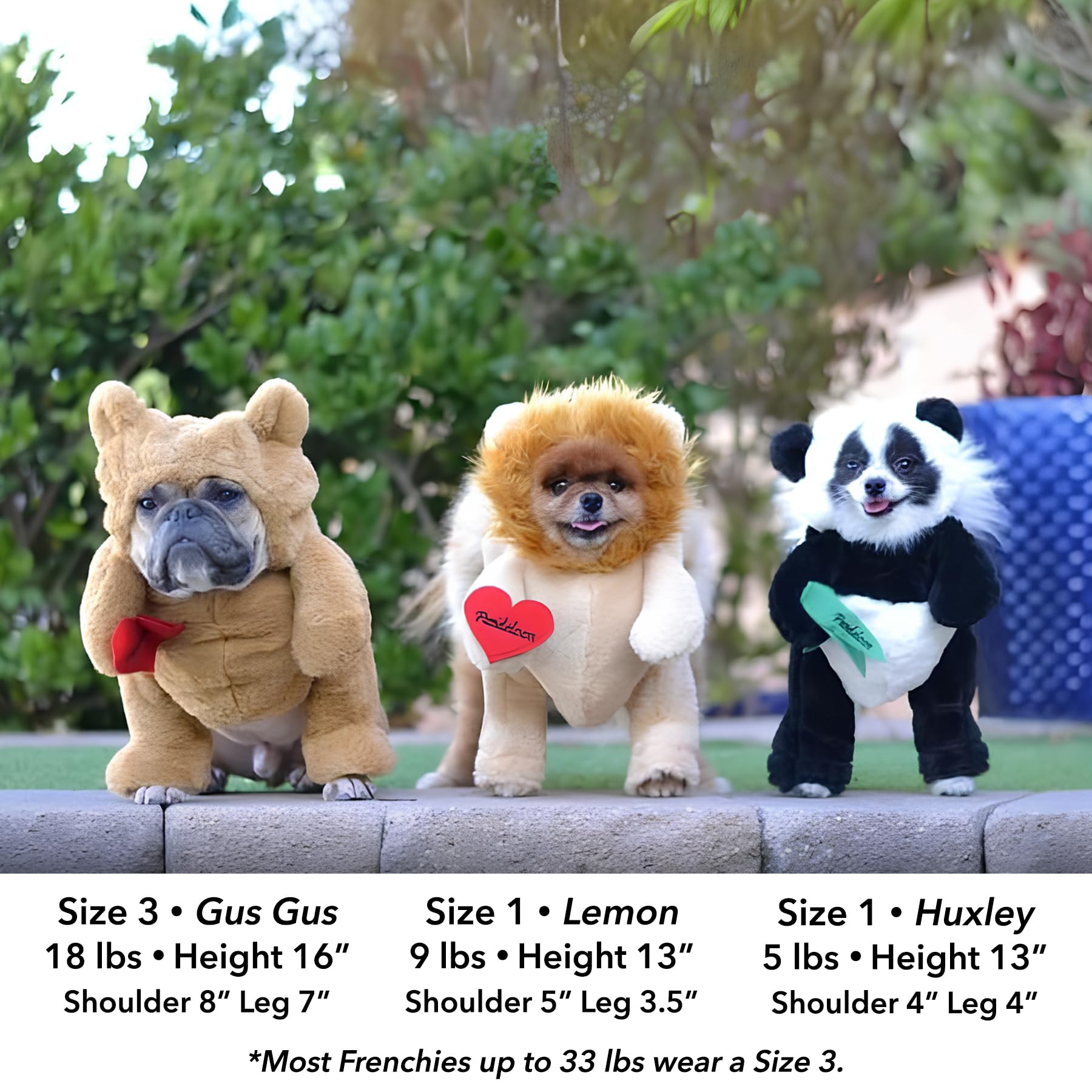 Pandaloon Dog Halloween Costume - As Seen On Shark Tank - Patented - Funny Costume With Arms For Small And Medium Dogs And Cats (Panda, Size 2(15-16 In Height At Top Of Head,Girth<16 In))