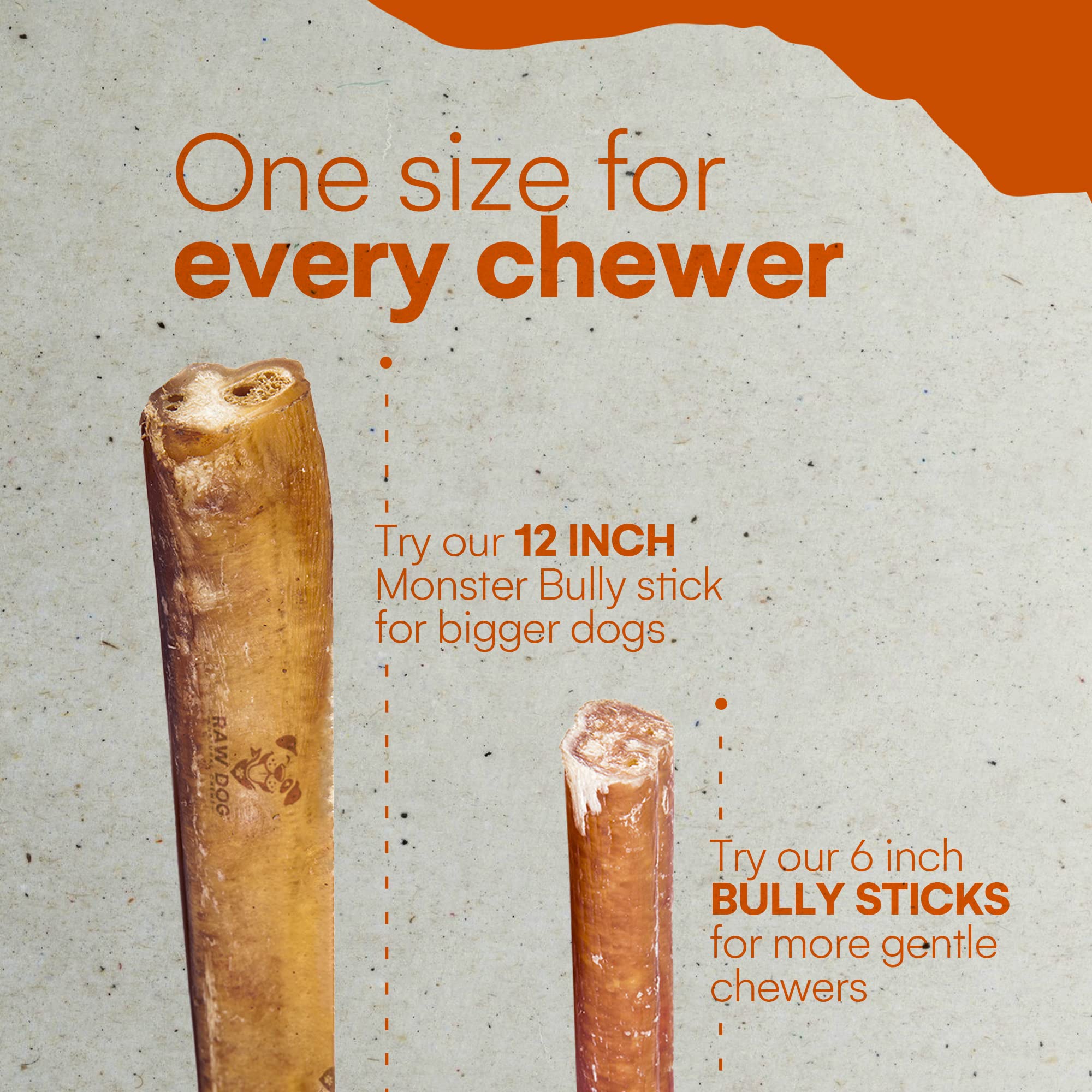 Raw Dog Bully Sticks All-Natural Dog Treats, 6IN Regular Size, 7pk - Premium Odor Free Dog Chews, 100% Beef, Grass Fed, Non-GMO