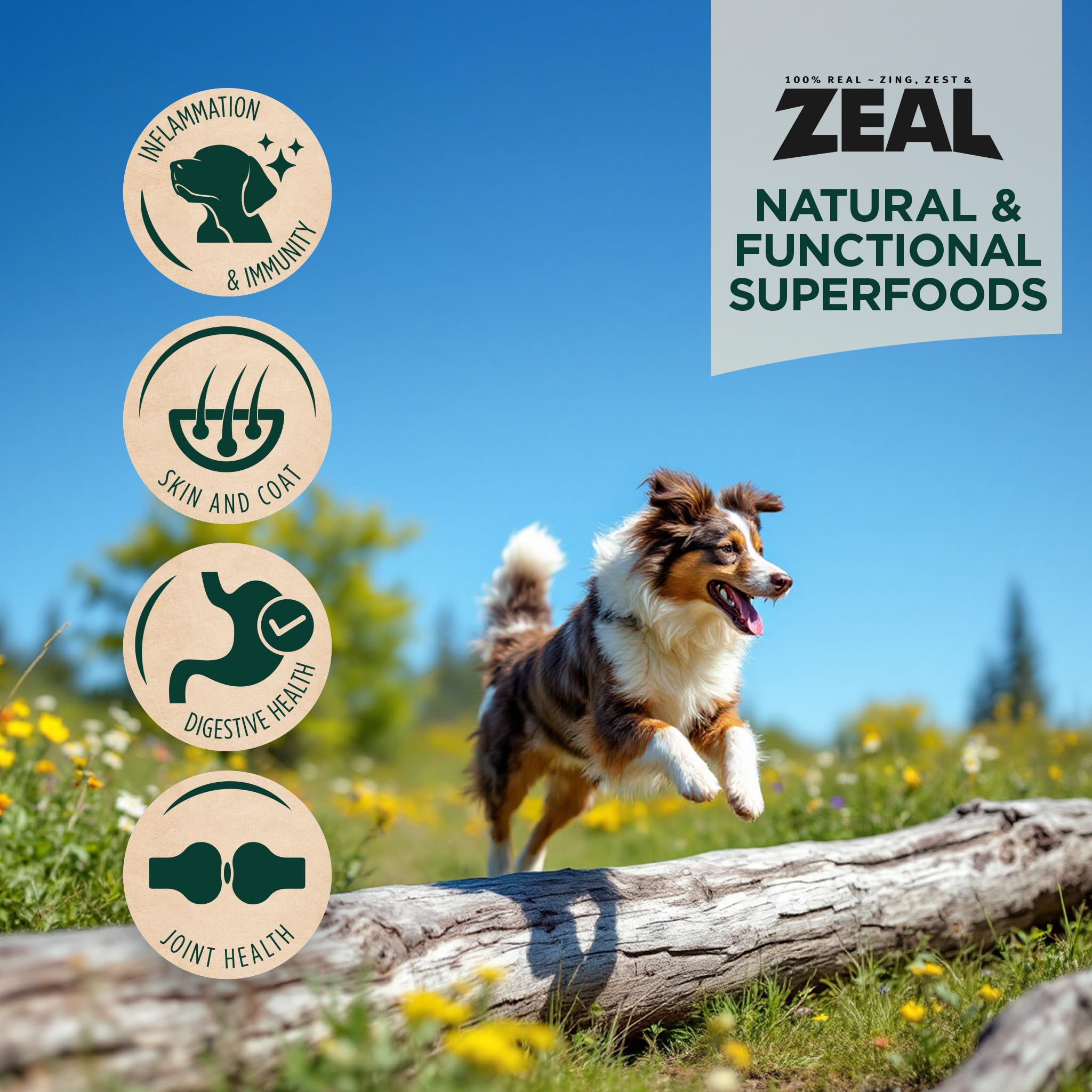 ZEAL Canada Air-Dried Beef Recipe for Dogs - High Protein, Natural Superfoods, Nutrient Rich, No Fillers, Grain Free, Complete &