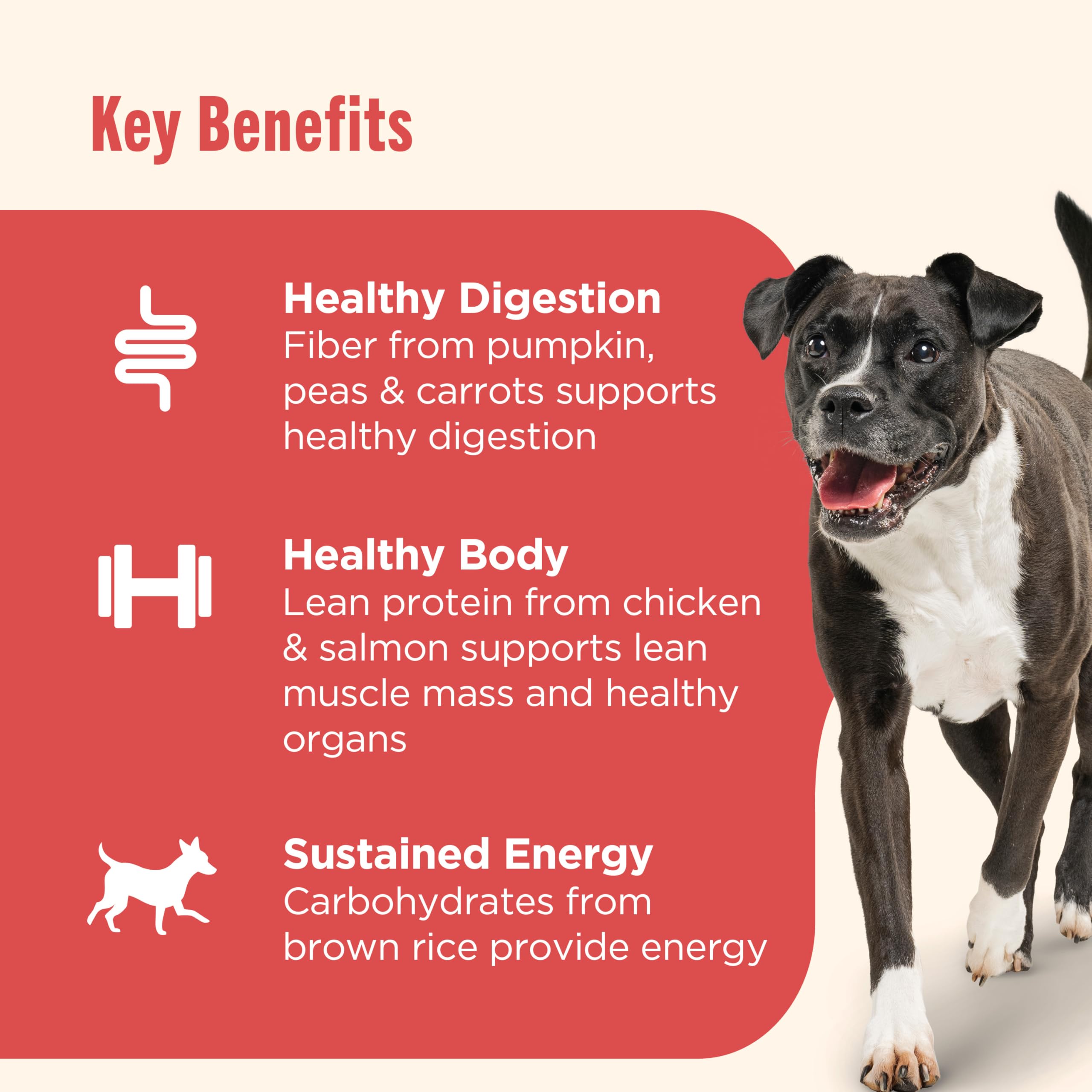 Nutrish Gentle Digestion Wet Dog Food, Real Chicken & Pumpkin, 13 oz Can, 12 Count