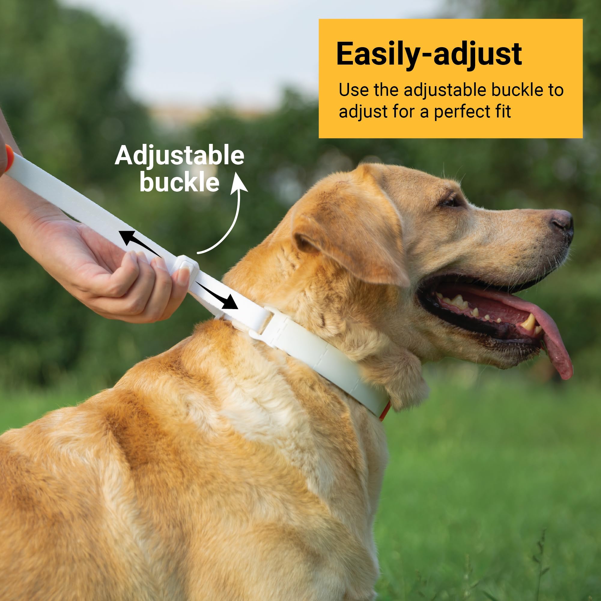 Svd.Pet Dog Prong Collar For No-Pull Training, Quick-Release Buckle Adjustable Pinch Collar For Large Dogs (White, Large Size)