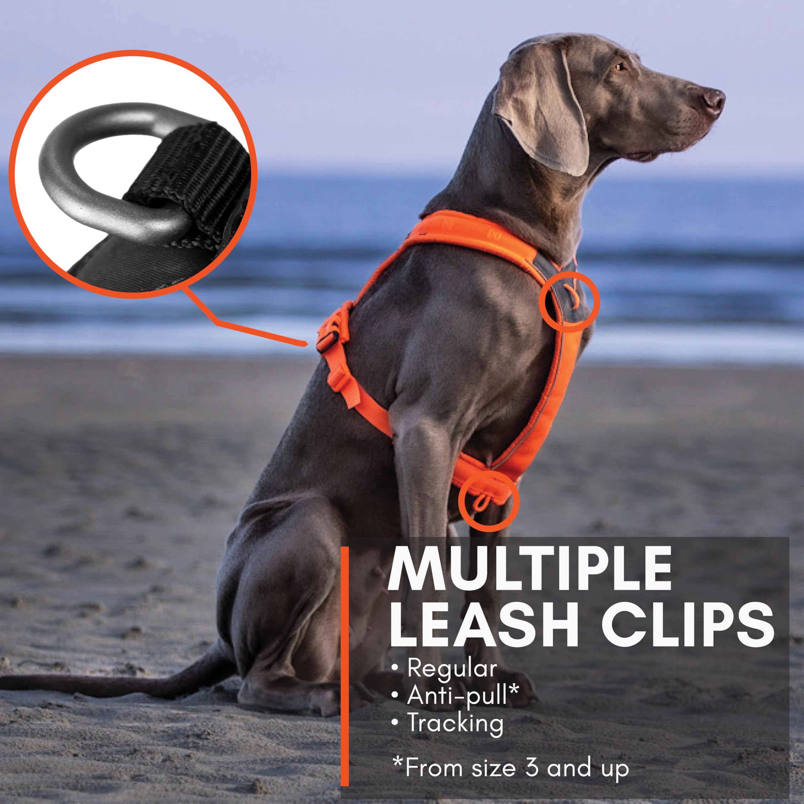 Non-Stop Dogwear Line Harness 5.0, Padded Dog Harness For Medium Dogs, Made For Hiking, Sport And Everyday Active Life With 3 Le