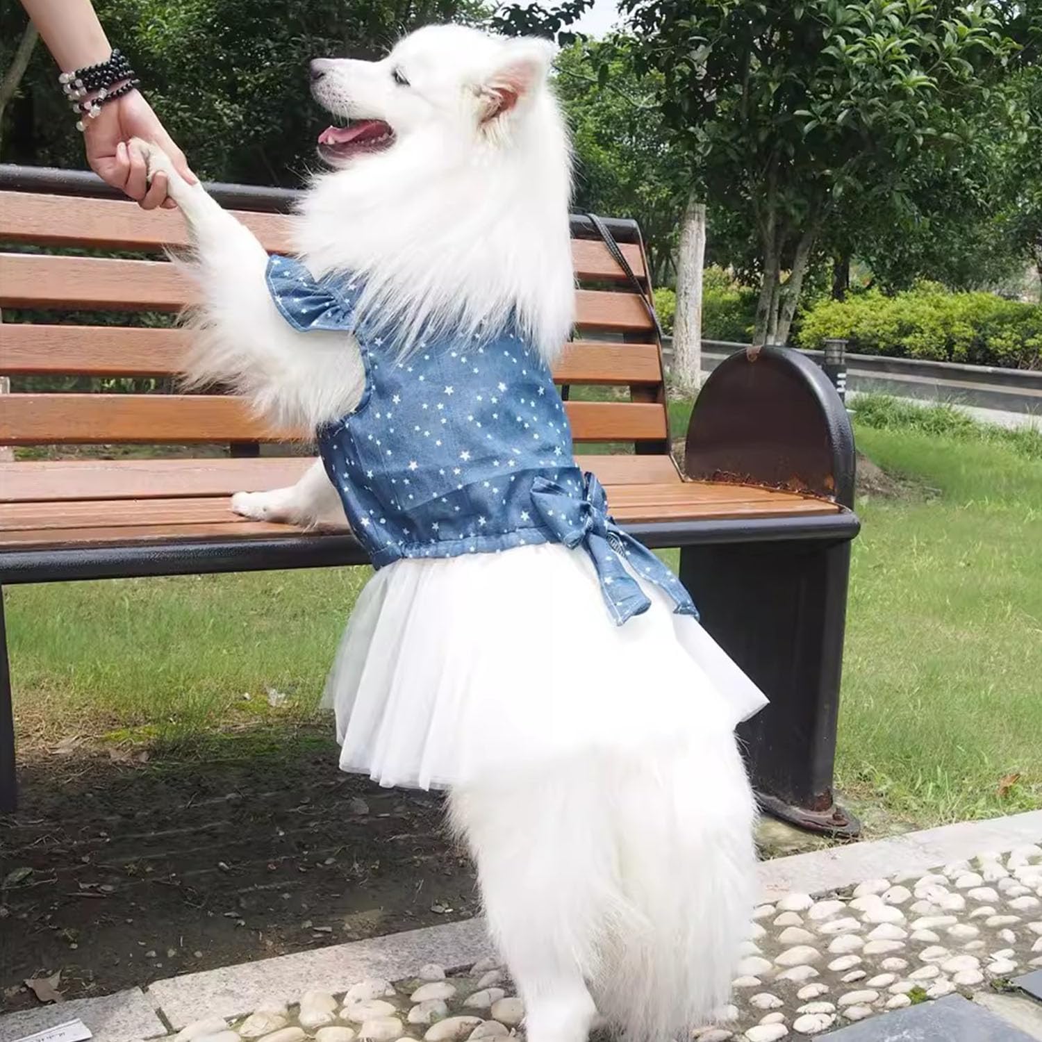 Polka Dot Big Large Dog Princess Dress Tutu Skirt Golden Retriever Pitbull Summer Dog Clothes Hoodie Costume (Xxl, Blue)