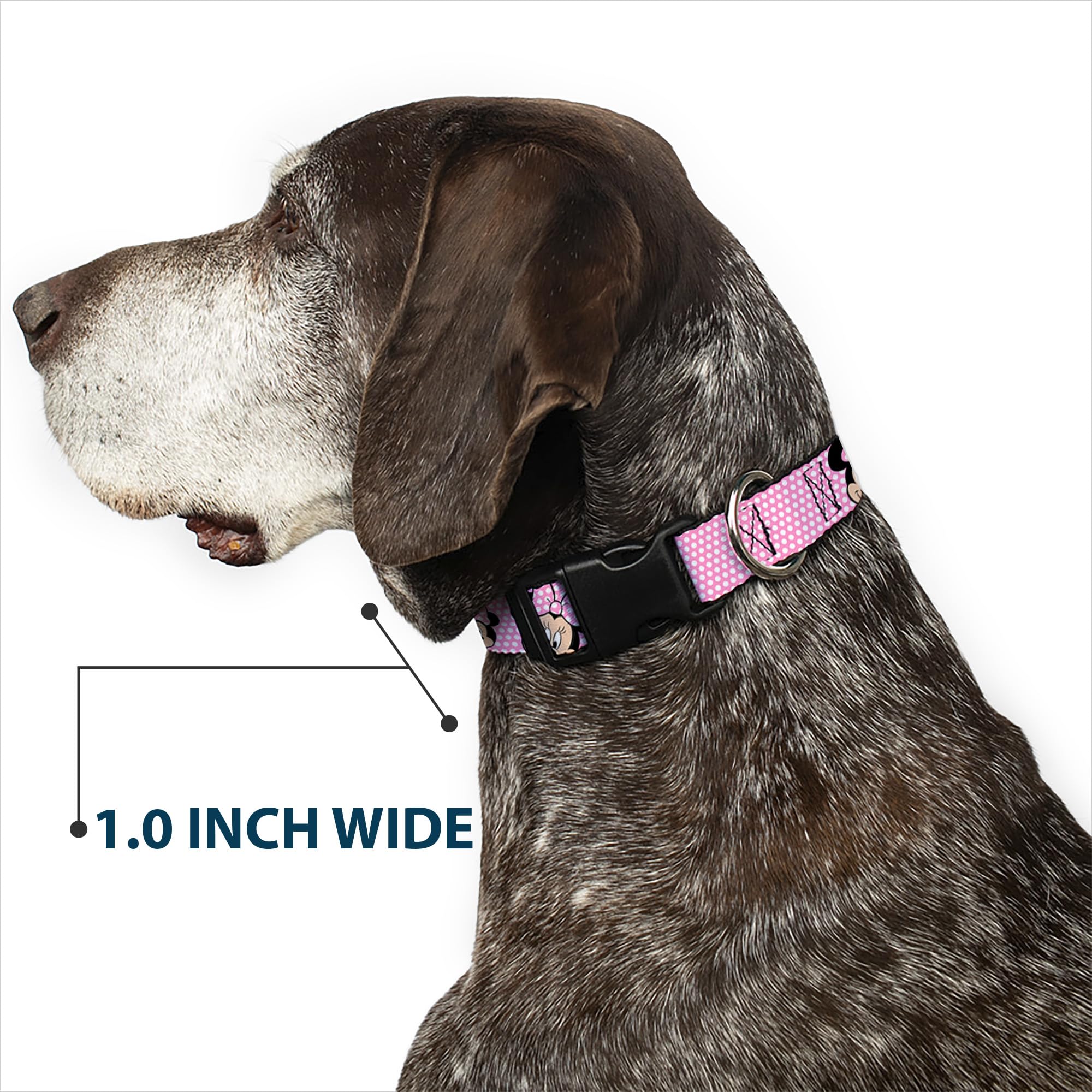 Buckle-Down Plastic Clip Collar - Minnie Mouse Expressions Polka Dot Pink/White - 1.5 Wide - Fits 16-23 Neck - Medium