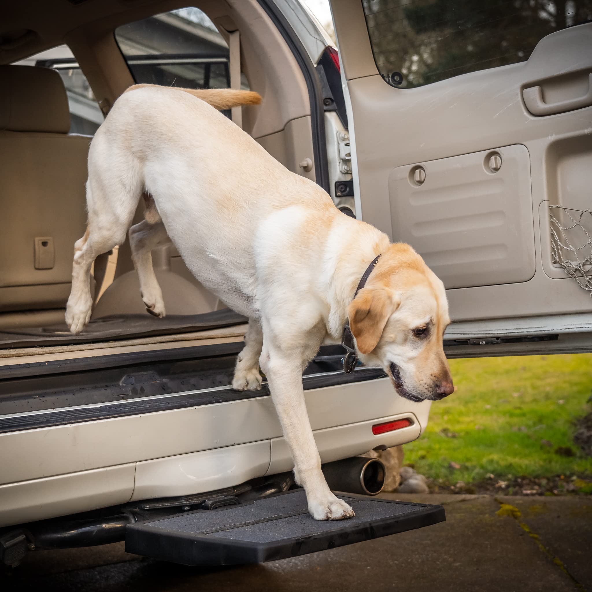 Otto Step Car Pet Ramp Pet Step