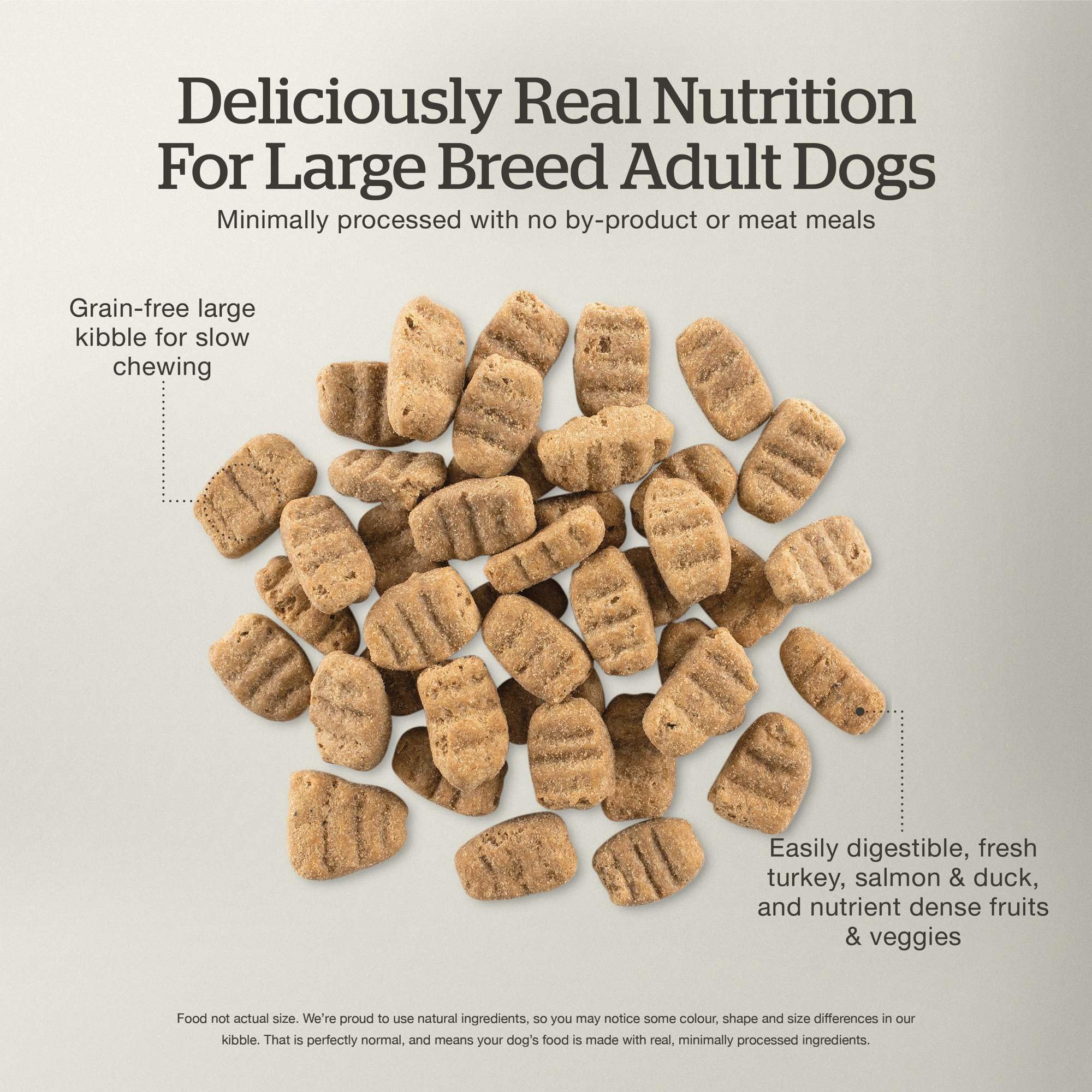 Now Fresh Grain-Free Large Breed Dry Dog Food with Turkey, Salmon & Duck, Premium Kibble for Adults with Real Poultry & Fish, Ch