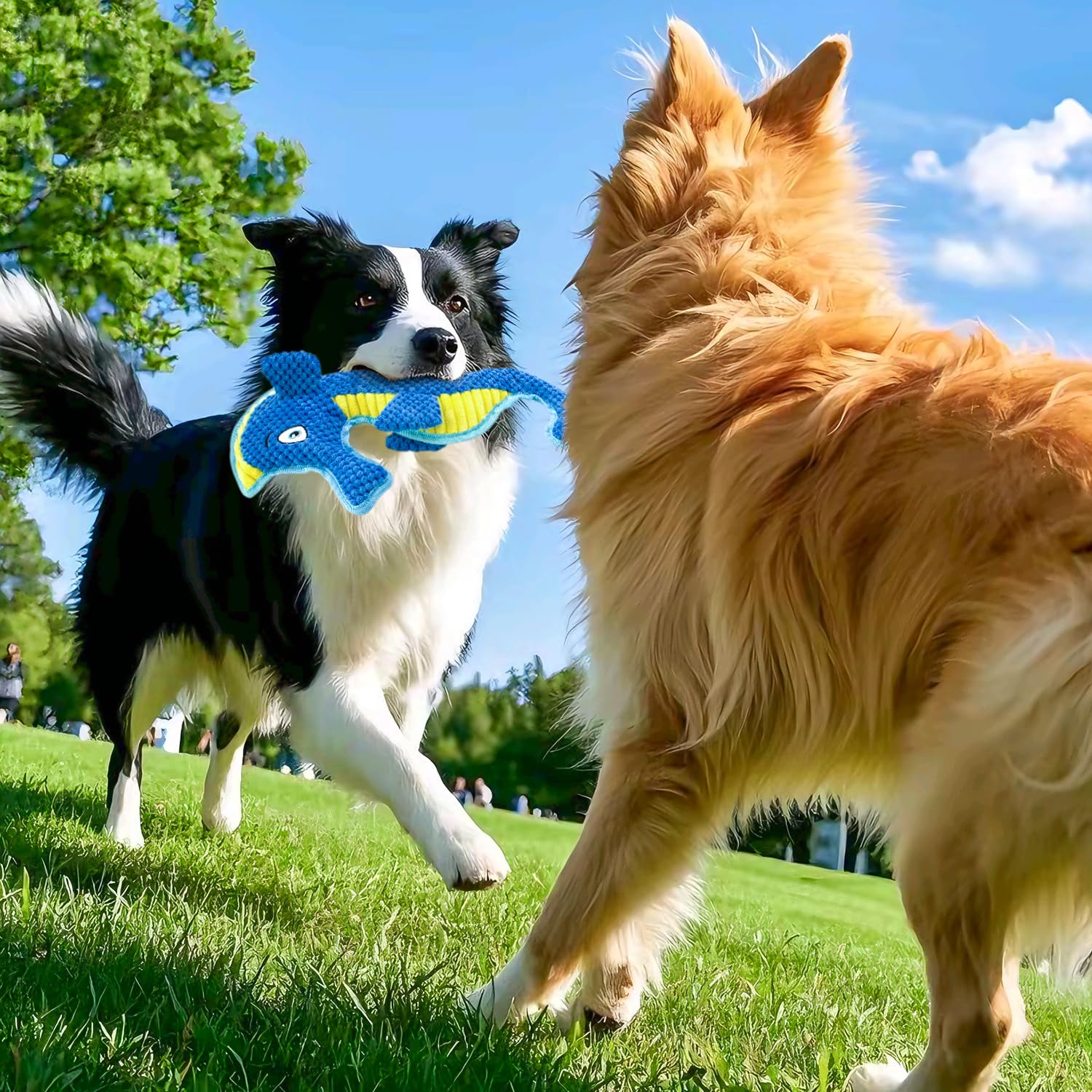 VWPTCHI Squeaky Dog Toy - Durable Chew Toy for Aggressive Chewers, Interactive Fun, Green Shark Design