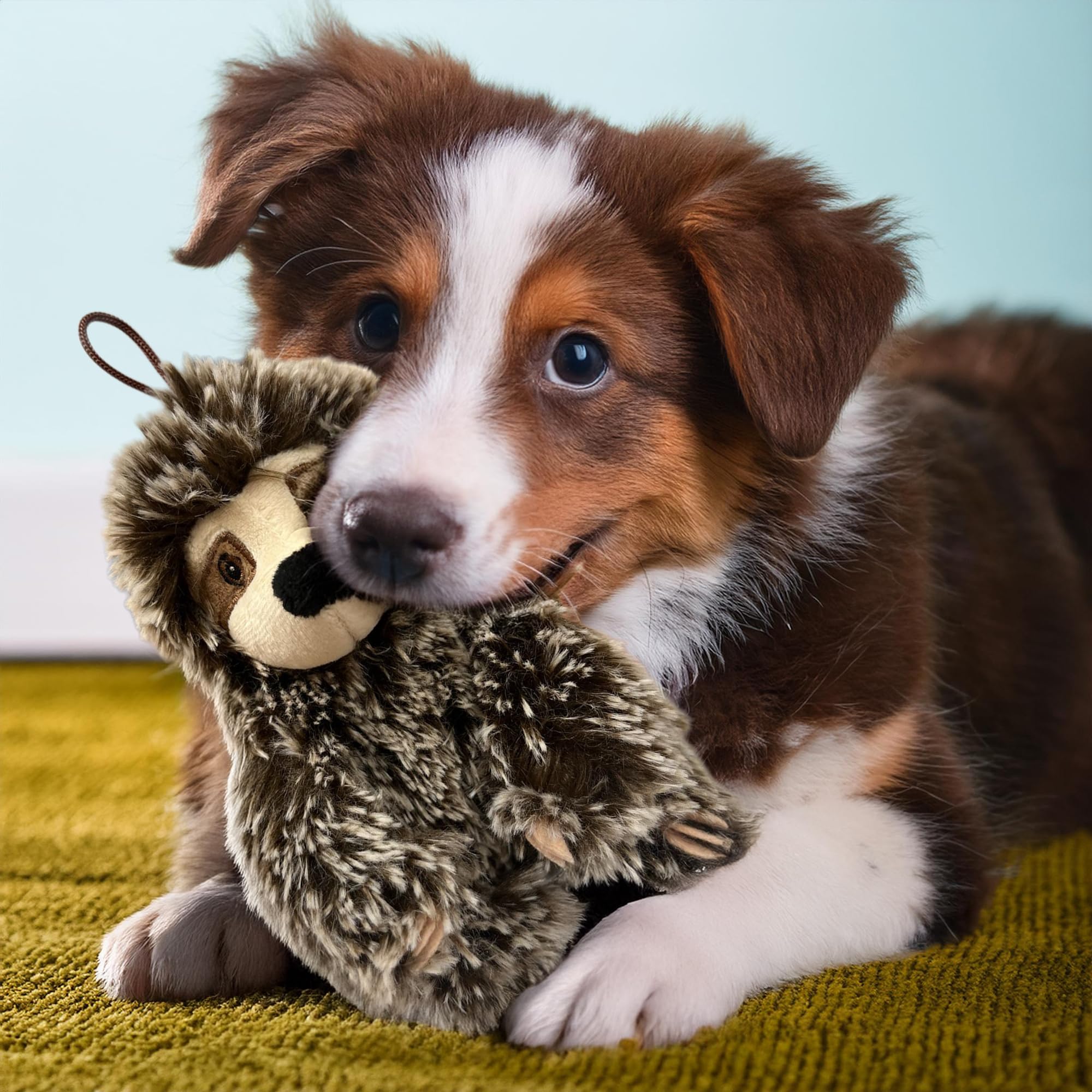 Sloth Dog Toy with Squeaker | Medium Toy Small Dogs | Plush Dog Toy | Multicolor | 6'' | Officially Licensed