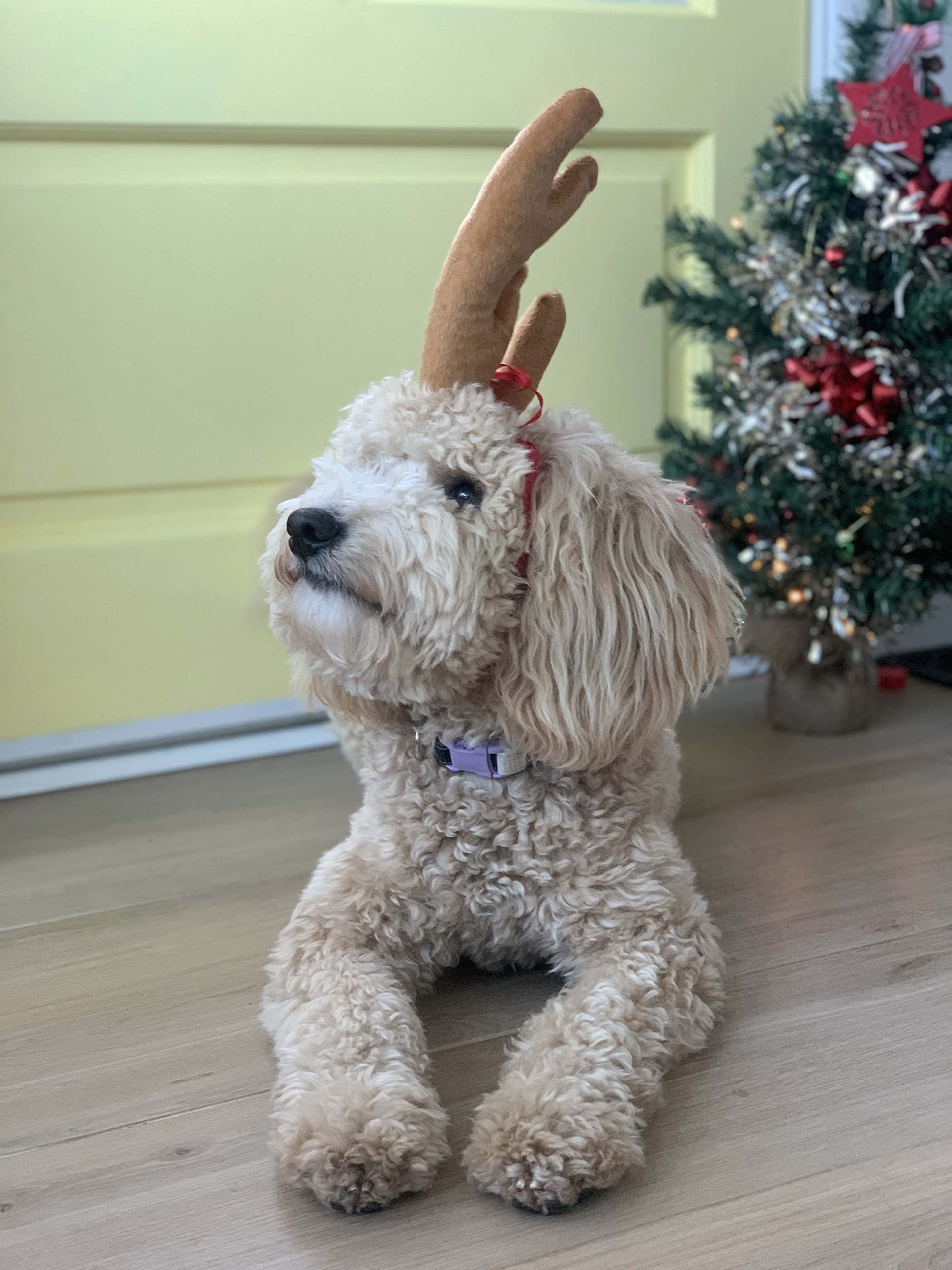 ComfyCamper Reindeer Antler Dog Costume - Brown Polyester Headband for Small to X-Large Pets