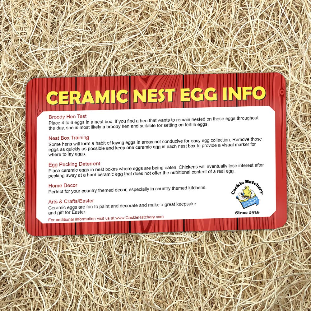 Cackle Hatchery Ceramic Nest Eggs (6Ct) (Assorted - Brown & White)
