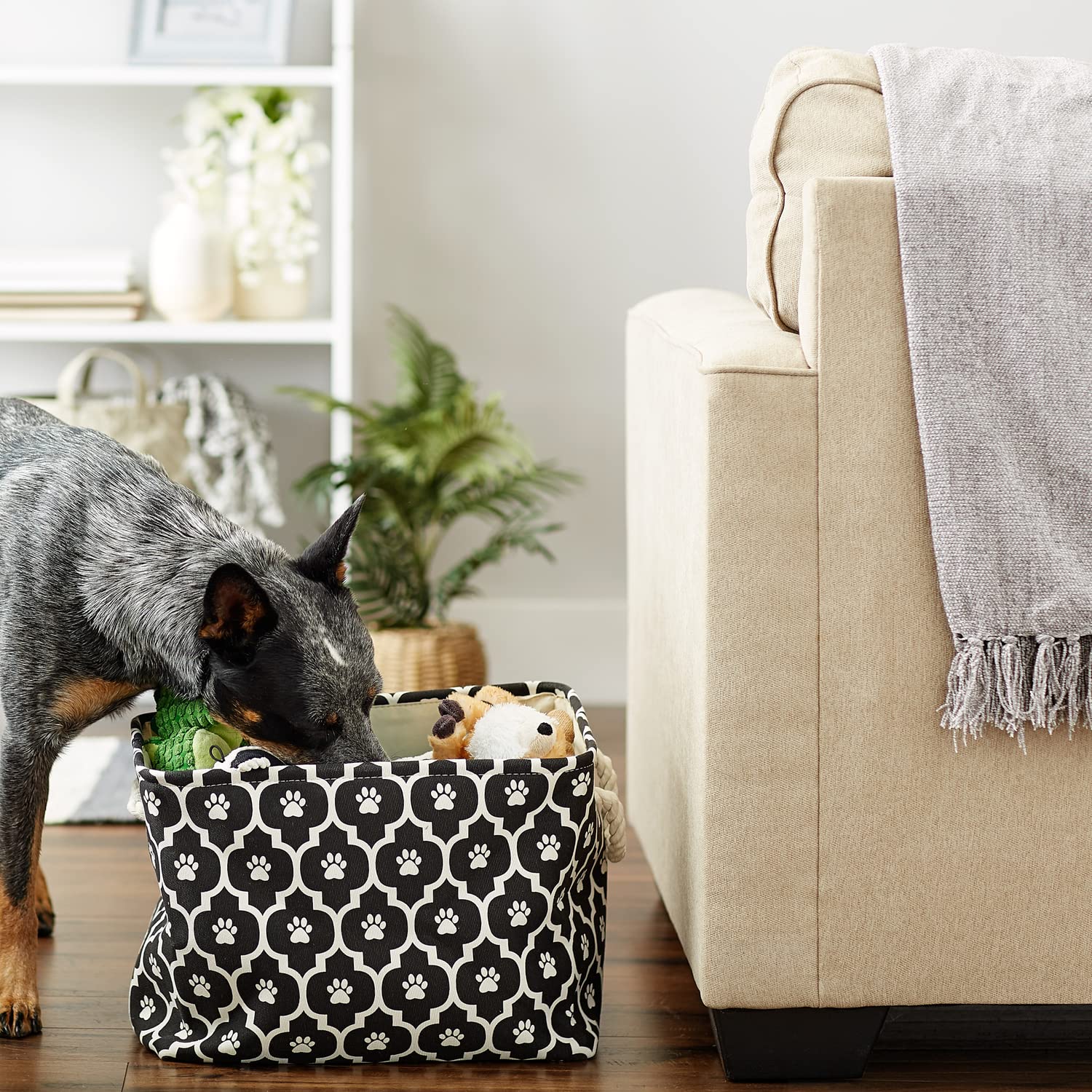 Bone Dry 6192 Pet Storage Collection Lattice Paw Print, Medium Rectangle, Black