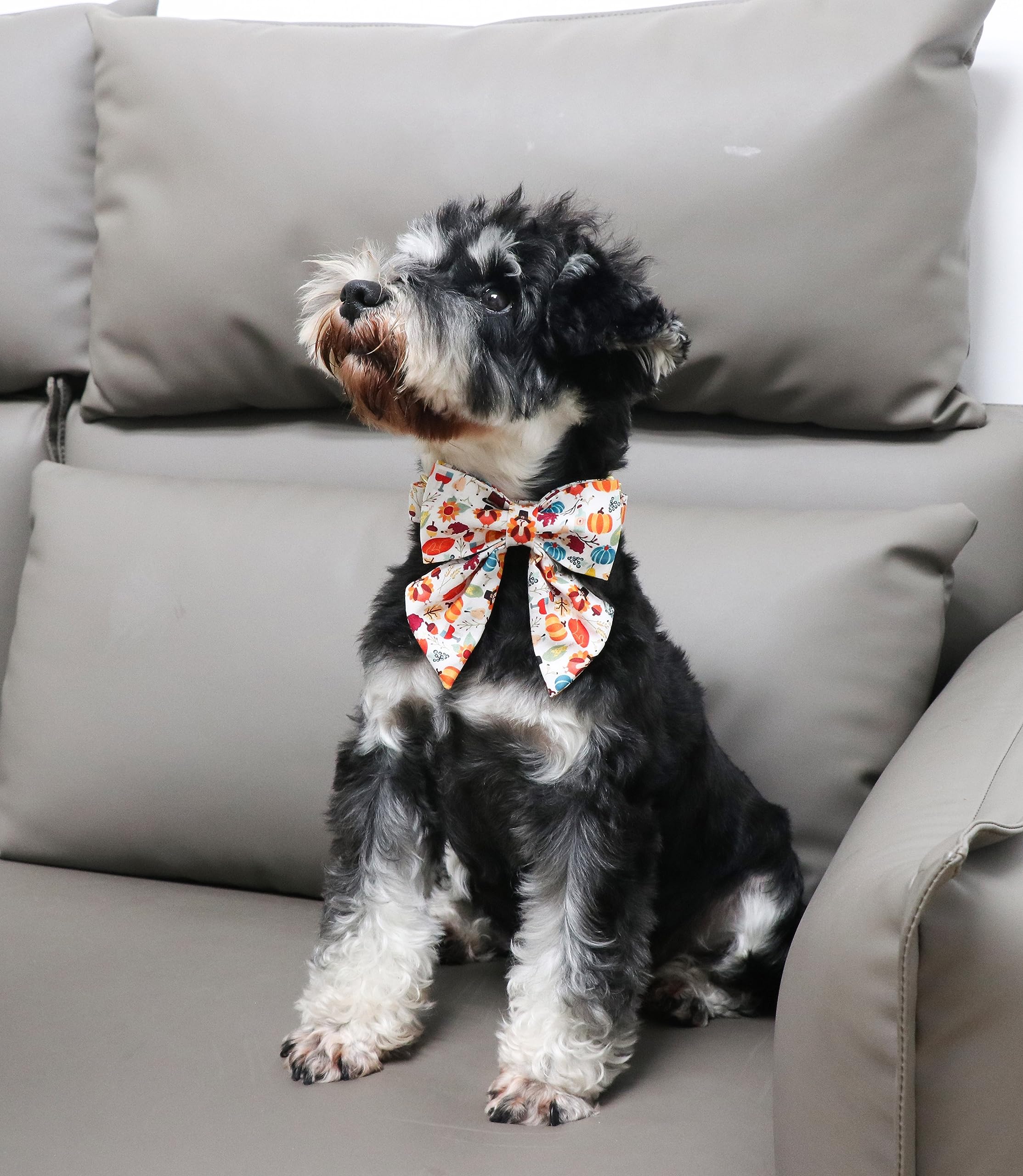 Unique Style Paws Cotton Thanksgiving Dog Collar With Bow Halloween Pumpkin Plaid Dog Collar With Bow Tie For Small Medium Large Dogs Pets Gifts