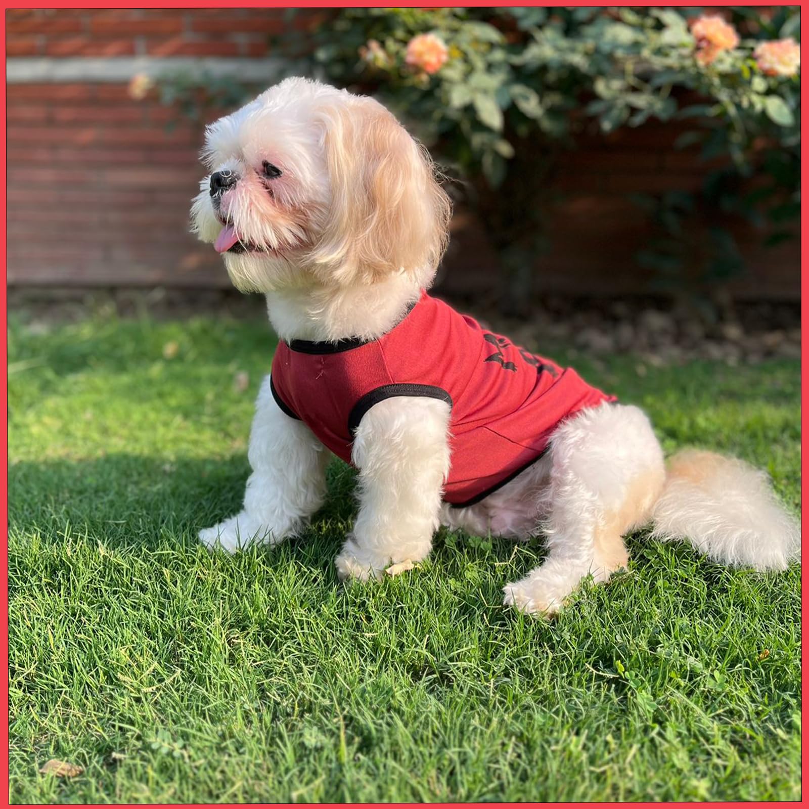 Lulala Dog Shirts With MamaS Boy Pattern Casual T-Shirt Summer Printed Soft Breathable Puppy Sweatshirt Cool Outfit Apparel For