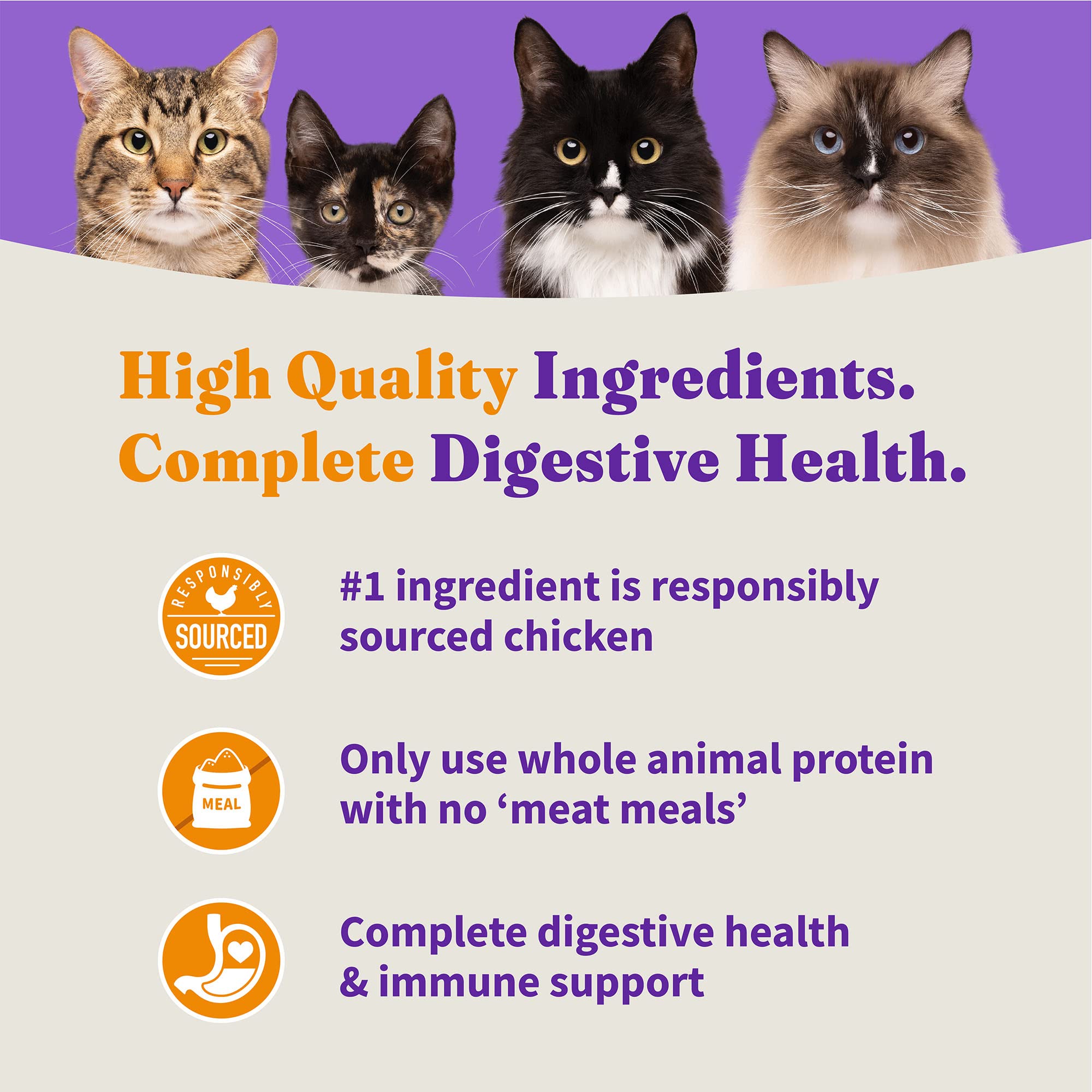 Halo Holistic Cage Free Chicken Cat Food, Grain Free Dry Cat Food, For Healthy Weight Support, Kibble for Indoor Cats, 6 lb Bag